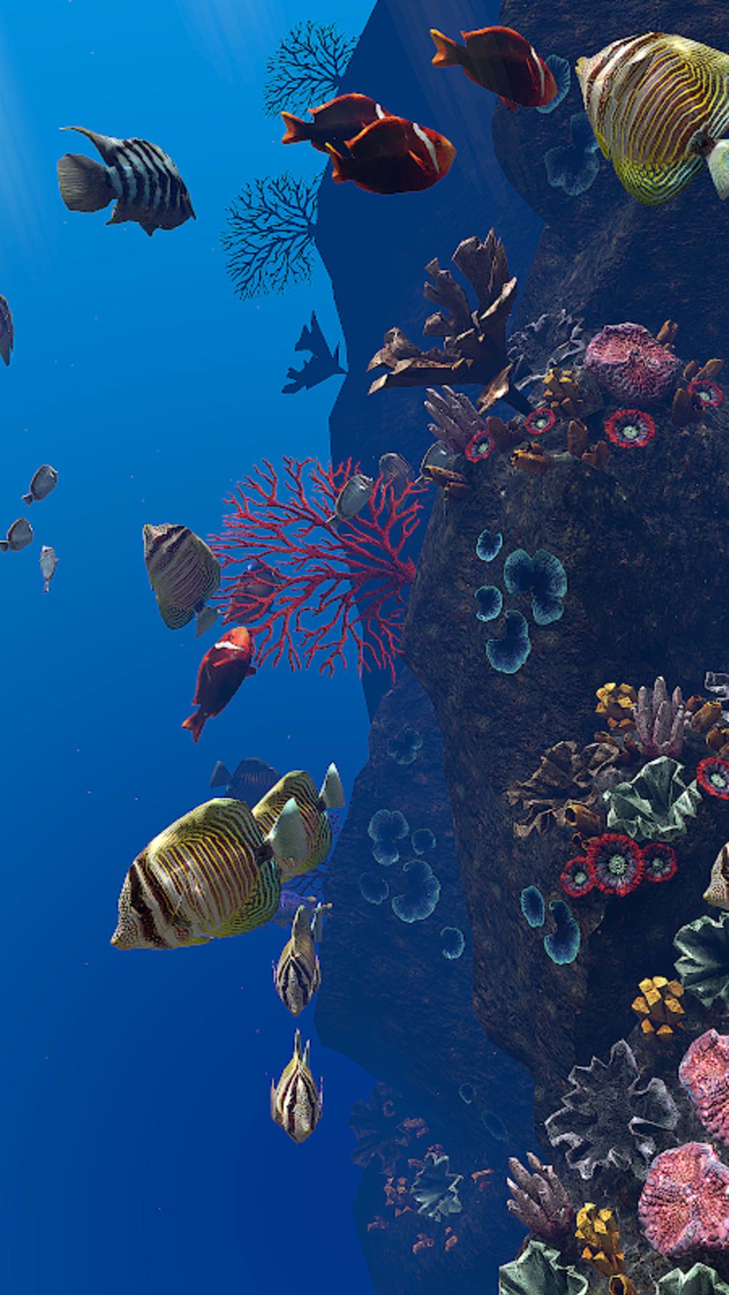 Korallenriff, Tropische Fische, Tiefblau, Unterwasser, Hintergrundbild für iPhone und Android