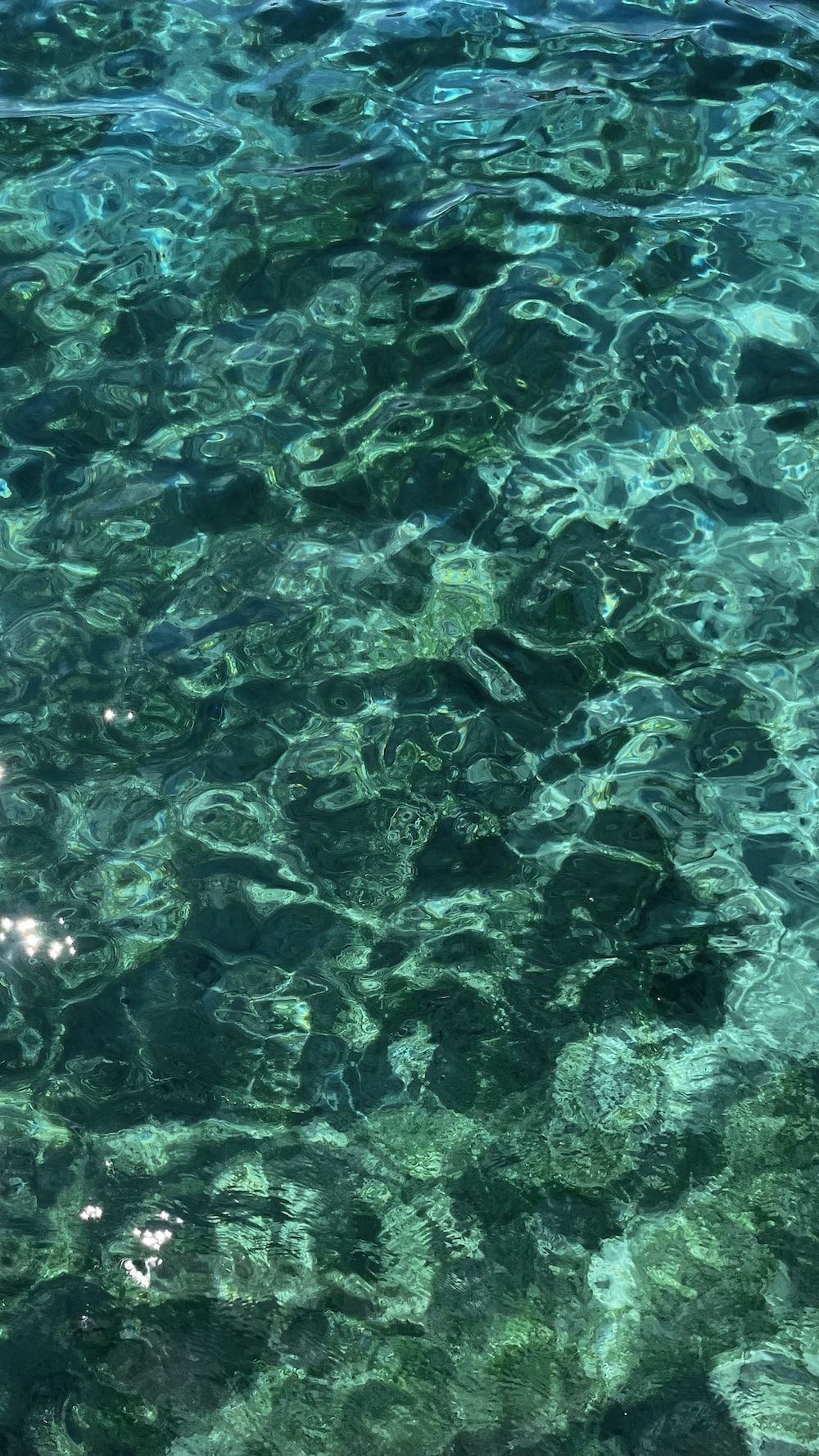 Klares Wasser, Grüntöne, Meeresgrund, Lichtreflexe, HD, Hintergrundbild fürs Handy