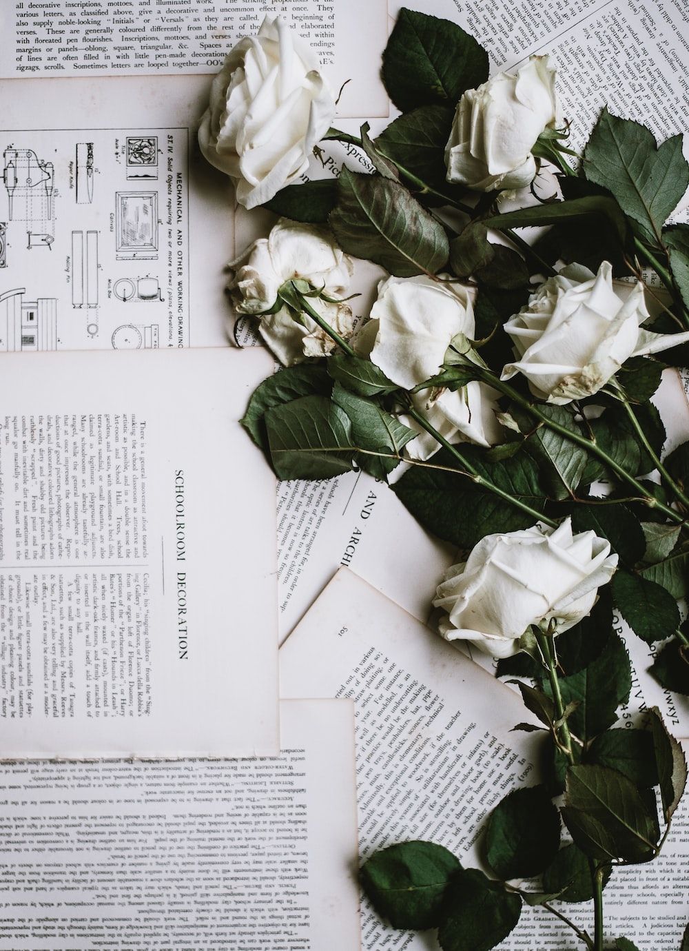 Weiße Rosen, Zeitungspapier, Blätter, Vintage, Draufsicht, Hintergrundbild fürs Tablet