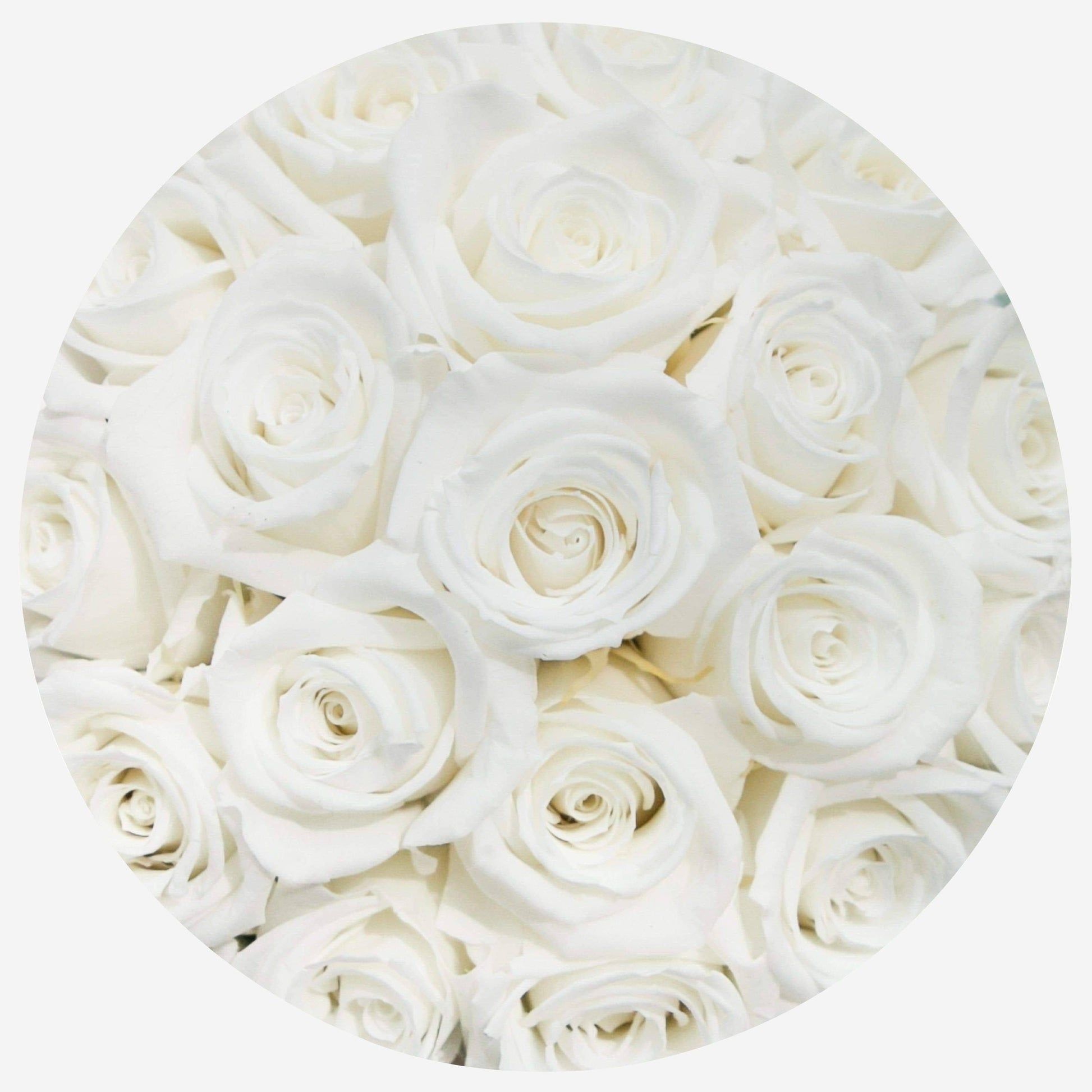 Weiße Rosen, Kreisform, Blumenmeer, Hell, Minimalistisch, Hintergrundbild fürs iPad