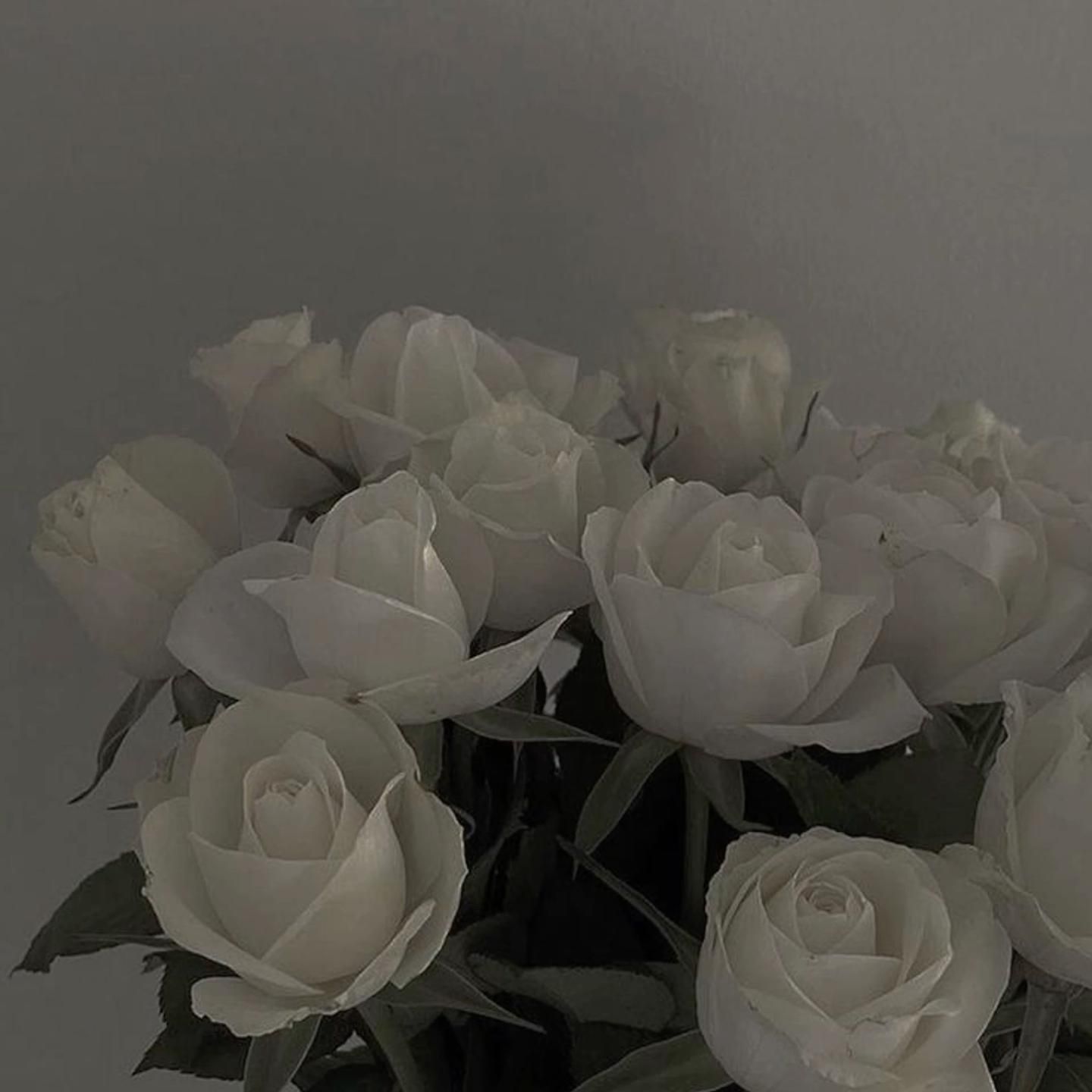 Weiße Rosen, Strauß, Gedämpftes Licht, Grau, Ästhetik, Hintergrundbild für iPad und Tablet