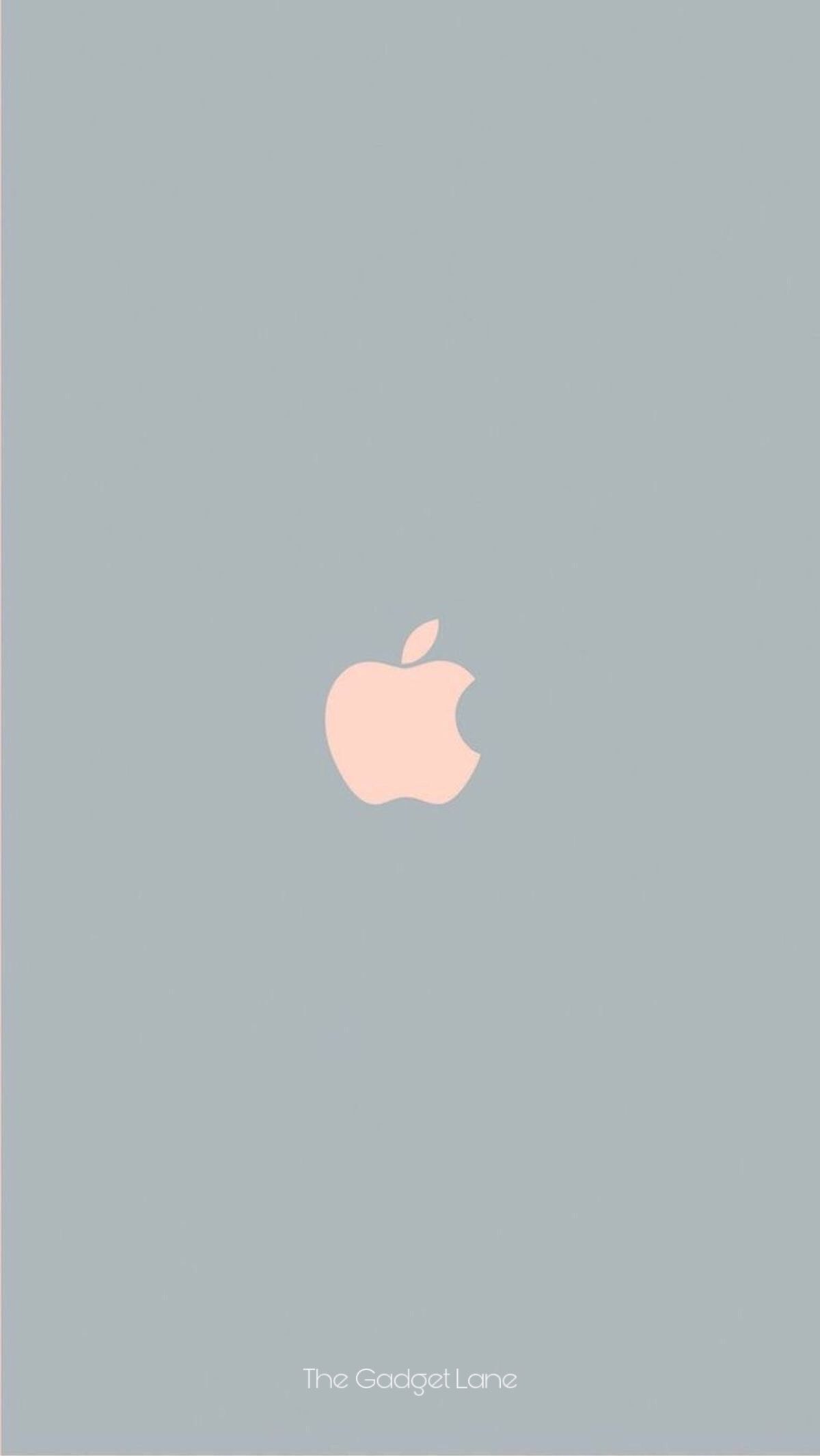 Apple-Logo, Grauer Hintergrund, Pfirsichfarben, Minimalistisch, Sperrbildschirm fürs iPhone