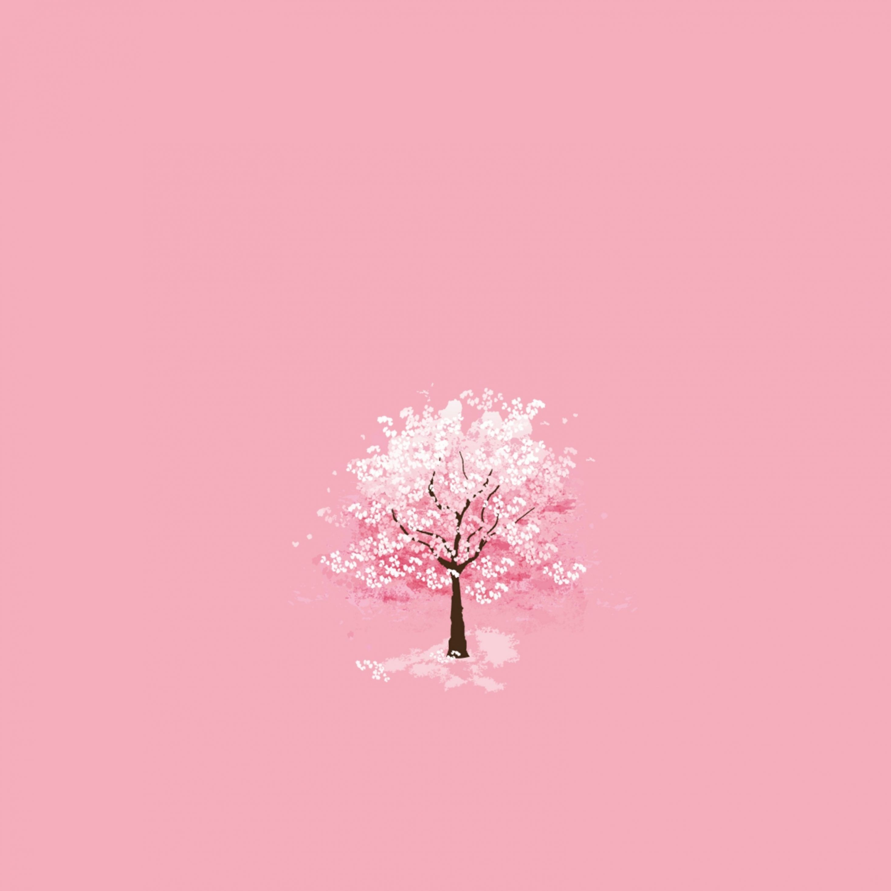 Kirschblütenbaum, Rosa Hintergrund, Minimalistisch, Illustration, 2K Wallpaper