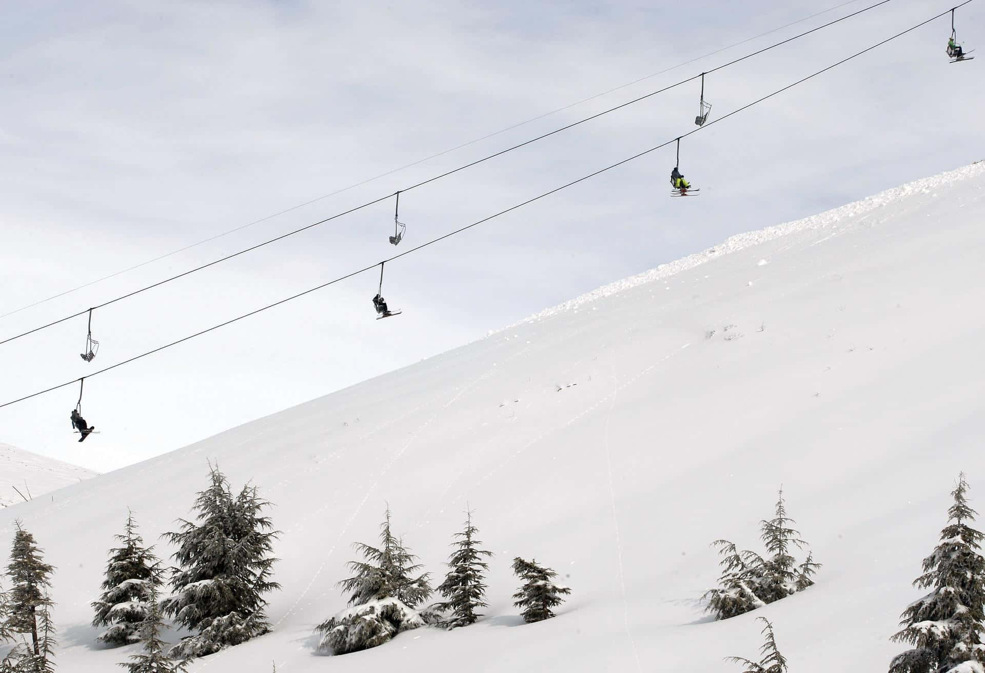 Sessellift, Skipiste, Tannen, Schneehang, Wintersport, Full HD, Desktop-Hintergrund für Windows