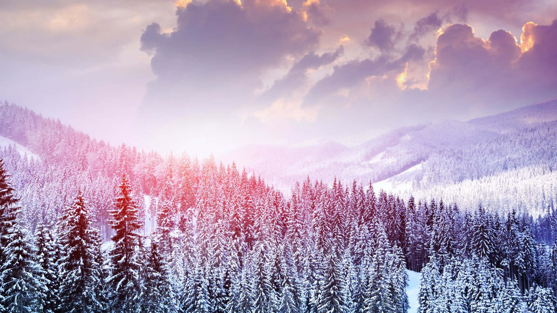 Verschneiter Nadelwald, Bergtal, Wolkenhimmel, Rosa und Lila, Panorama, Full HD, Laptop-Hintergrundbild