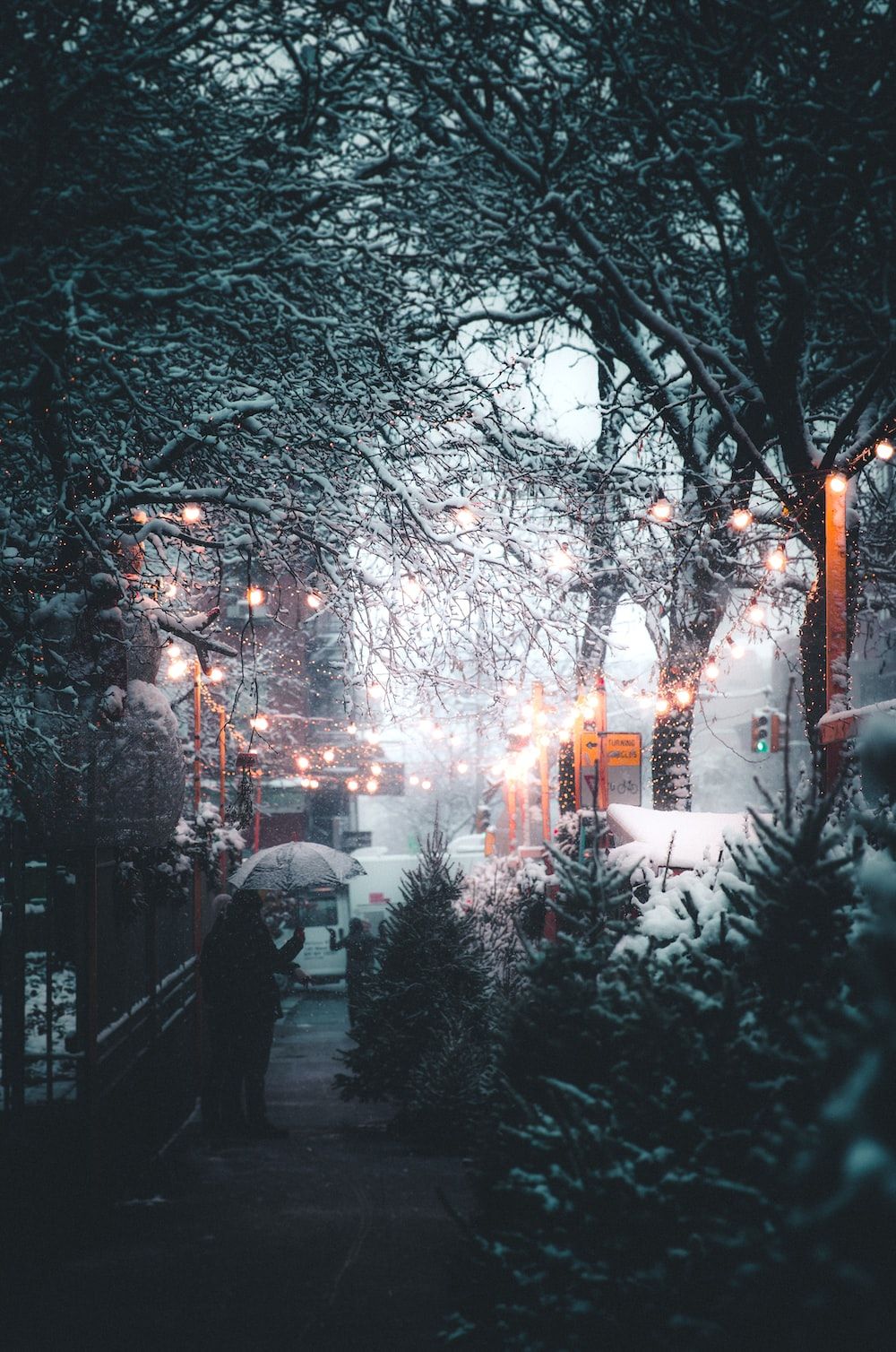 Waldweg, Bäume, Lichter, Dunkelgrün, Abend, Hintergrundbild für iPhone und Android