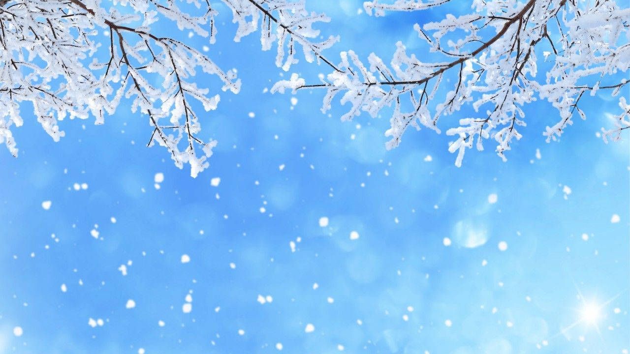Verschneite Zweige, Schneefall, Blauer Hintergrund, Bokeh, Kühle Töne, HD Wallpaper
