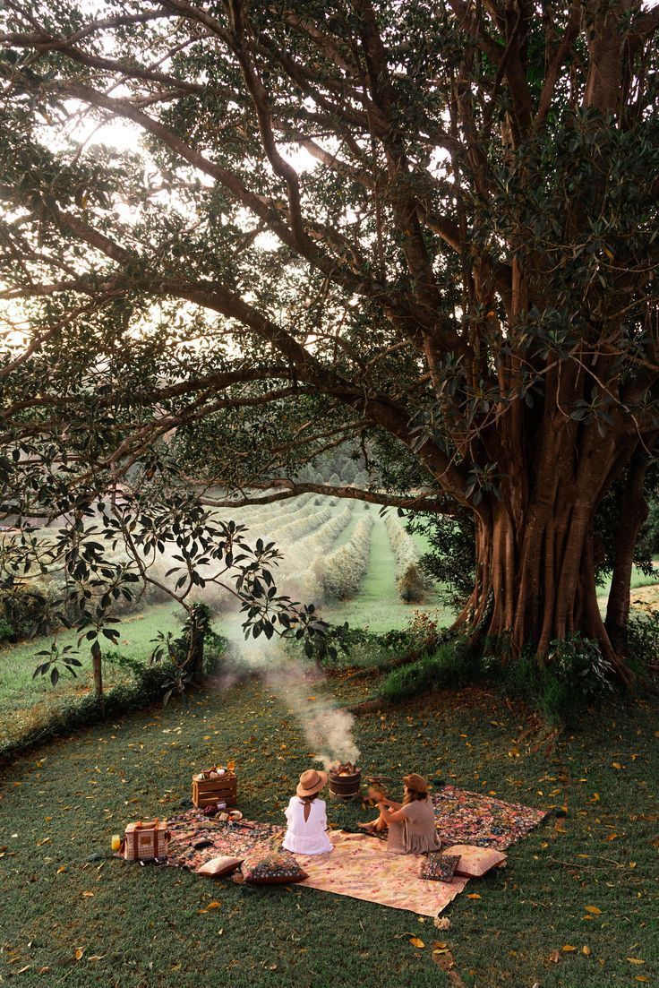Picknick, Baum, Decke, Wiese, Landidylle, HD, Hintergrundbild fürs Tablet