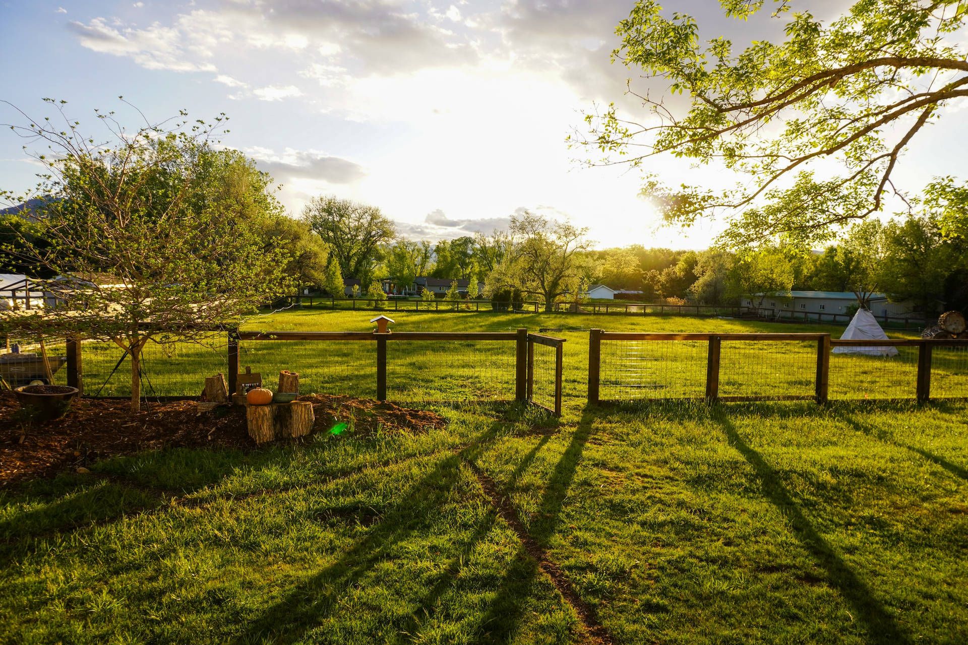 Weide, Holzzaun, Bäume, Sonnenlicht, Schatten, Grüne Wiese, Full HD, PC-Hintergrundbild