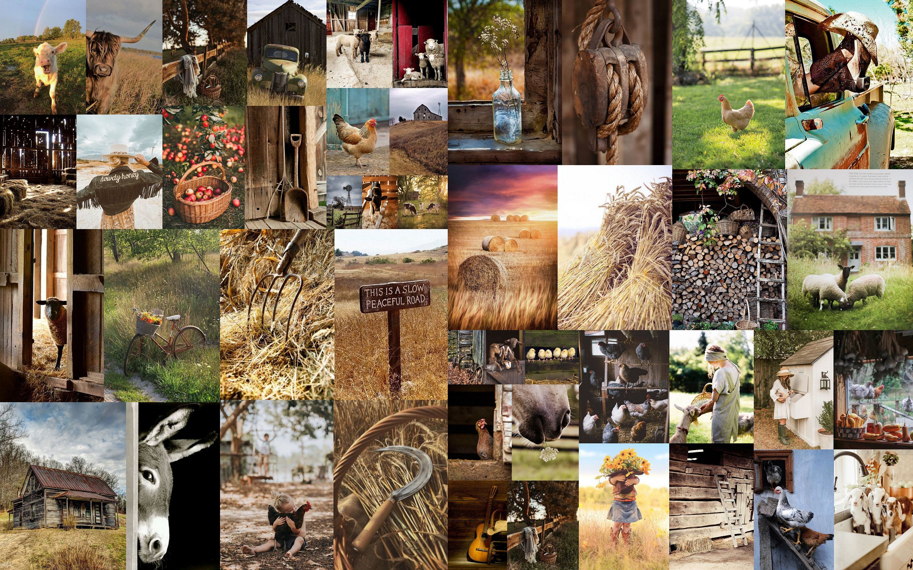 Collage, Landleben, Tiere, Rustikal, Ästhetik, 2K, Hintergrundbild für den PC