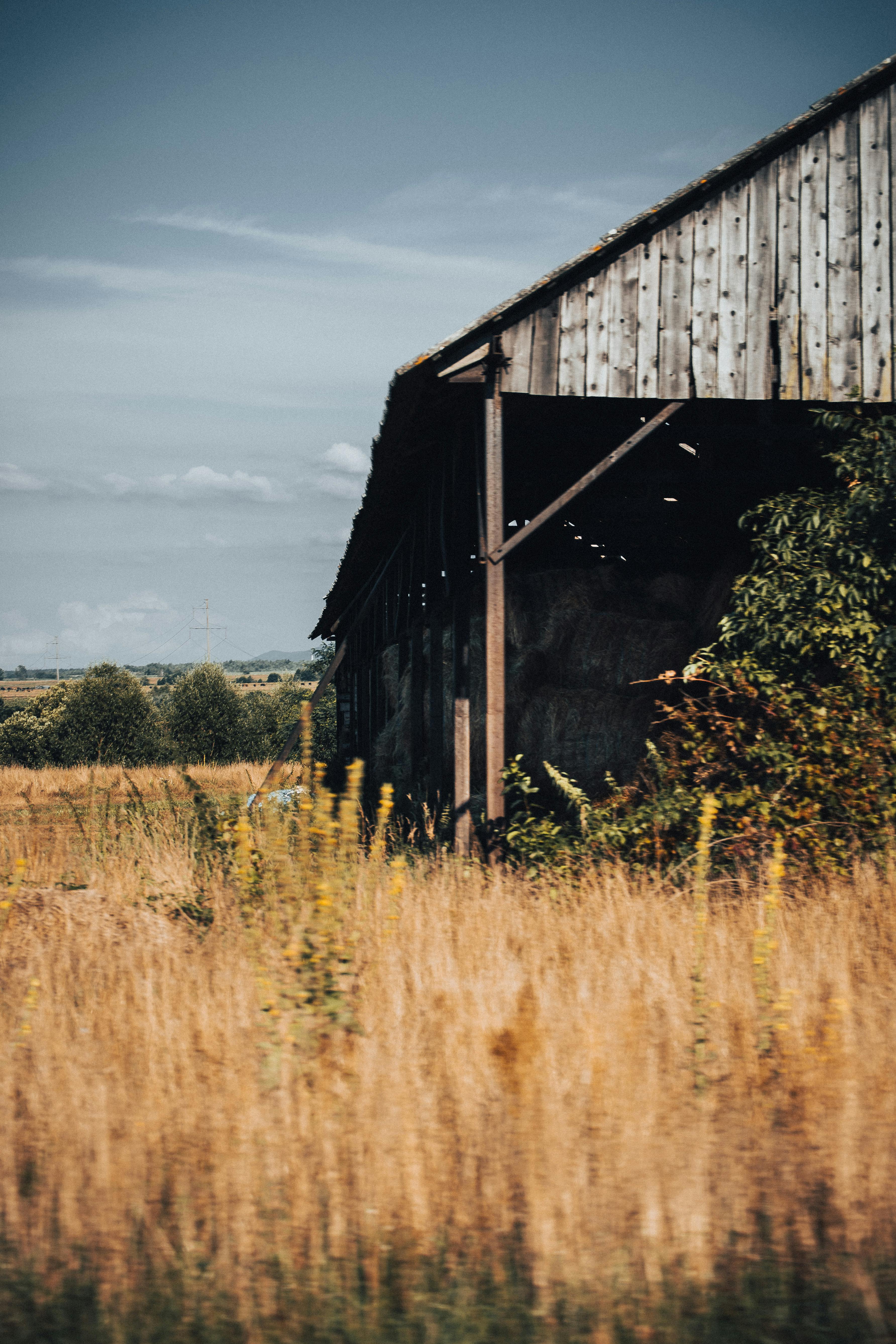 Alte Scheune, Verfallen, Trockenes Gras, Feld, Blauer Himmel, QHD+, iPad-Hintergrundbild