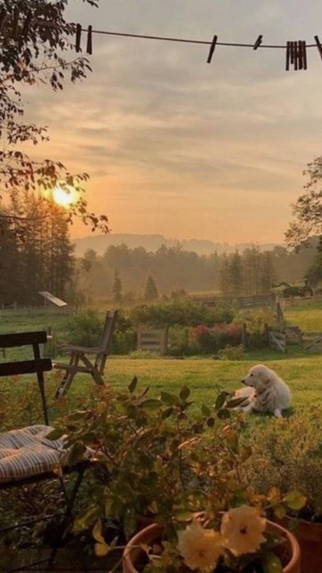 Garten, Sonnenuntergang, Wäscheleine, Landleben, Warmes Licht, Sperrbildschirm fürs iPhone