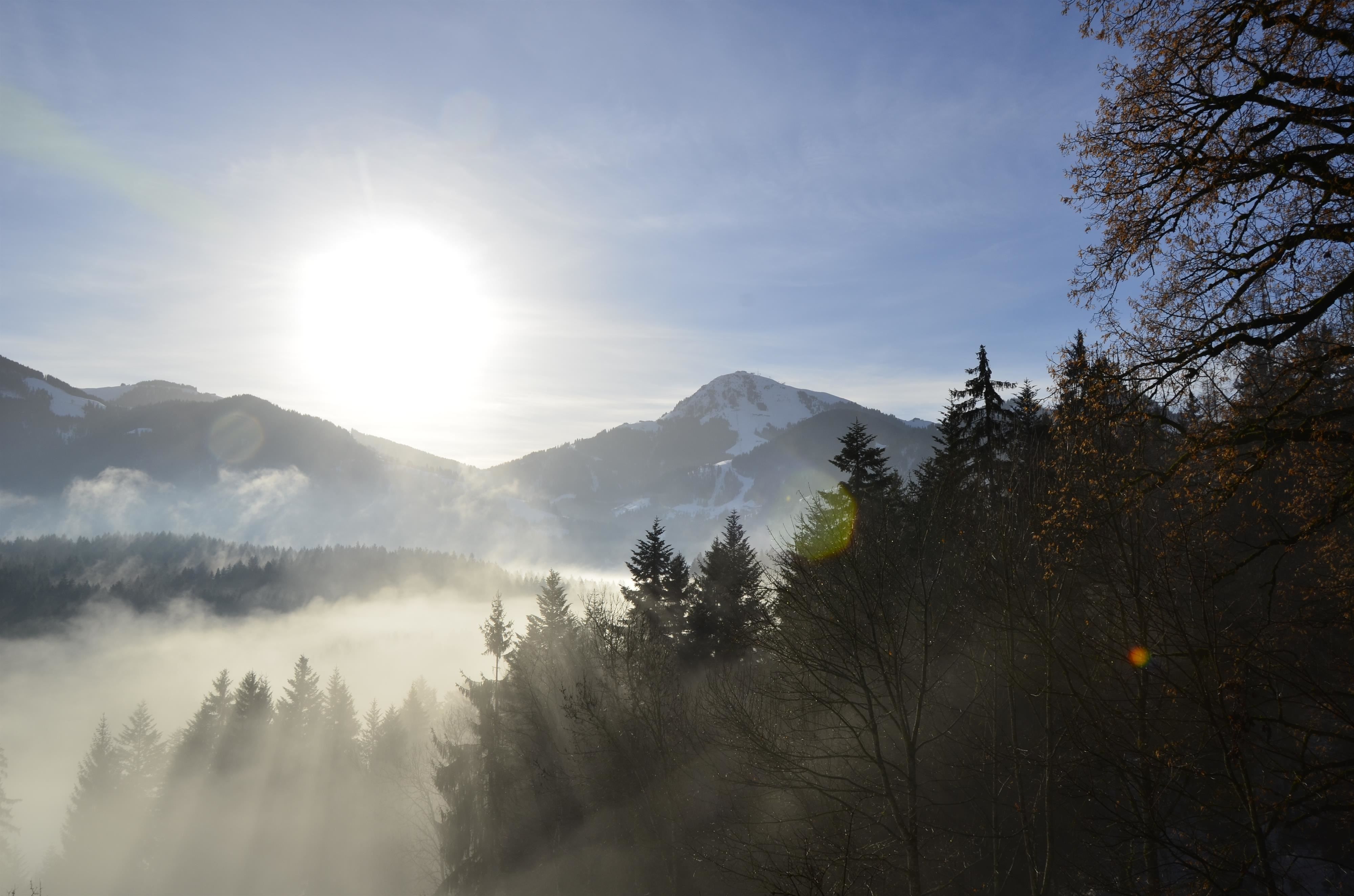 Bergtal, Nebel, Gegenlicht, Wald, Morgen, 4K, Hintergrundbild für den PC