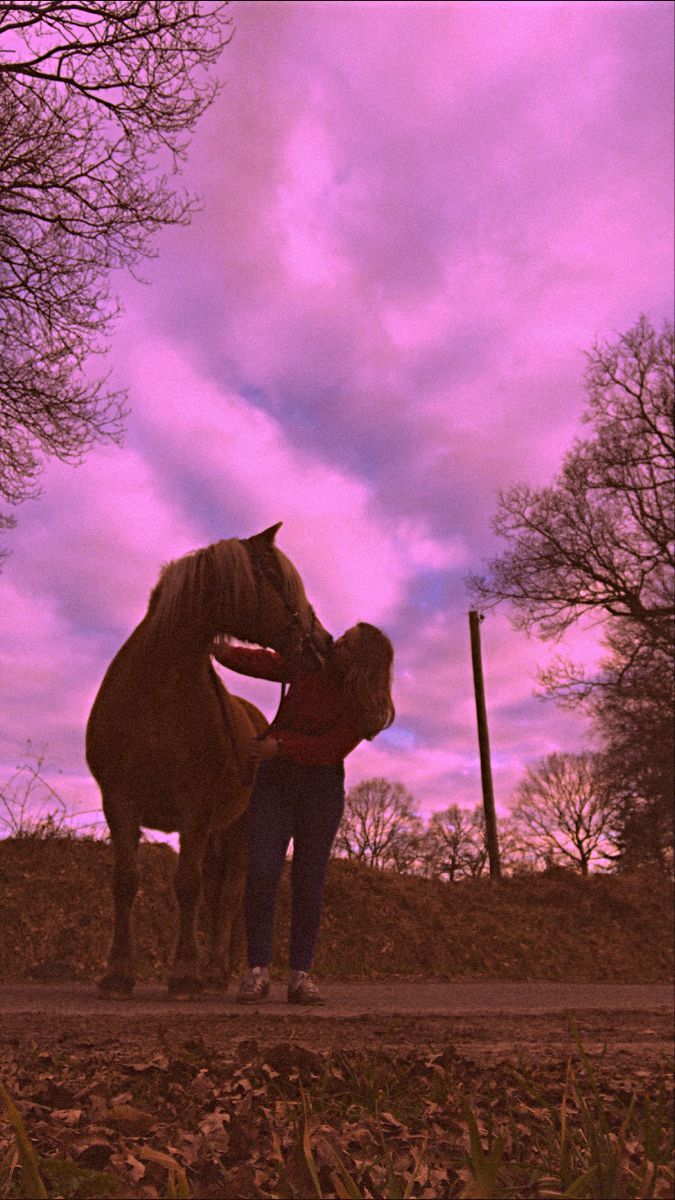 Pferd, Mensch, Silhouette, Rosa Himmel, Abendrot, Hintergrundbild für iPhone und Android