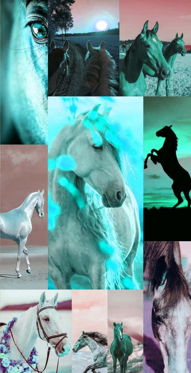 Collage, Türkis, Pferde, Aufbäumendes Pferd, Ästhetik, HD, Handy-Hintergrund im Hochformat