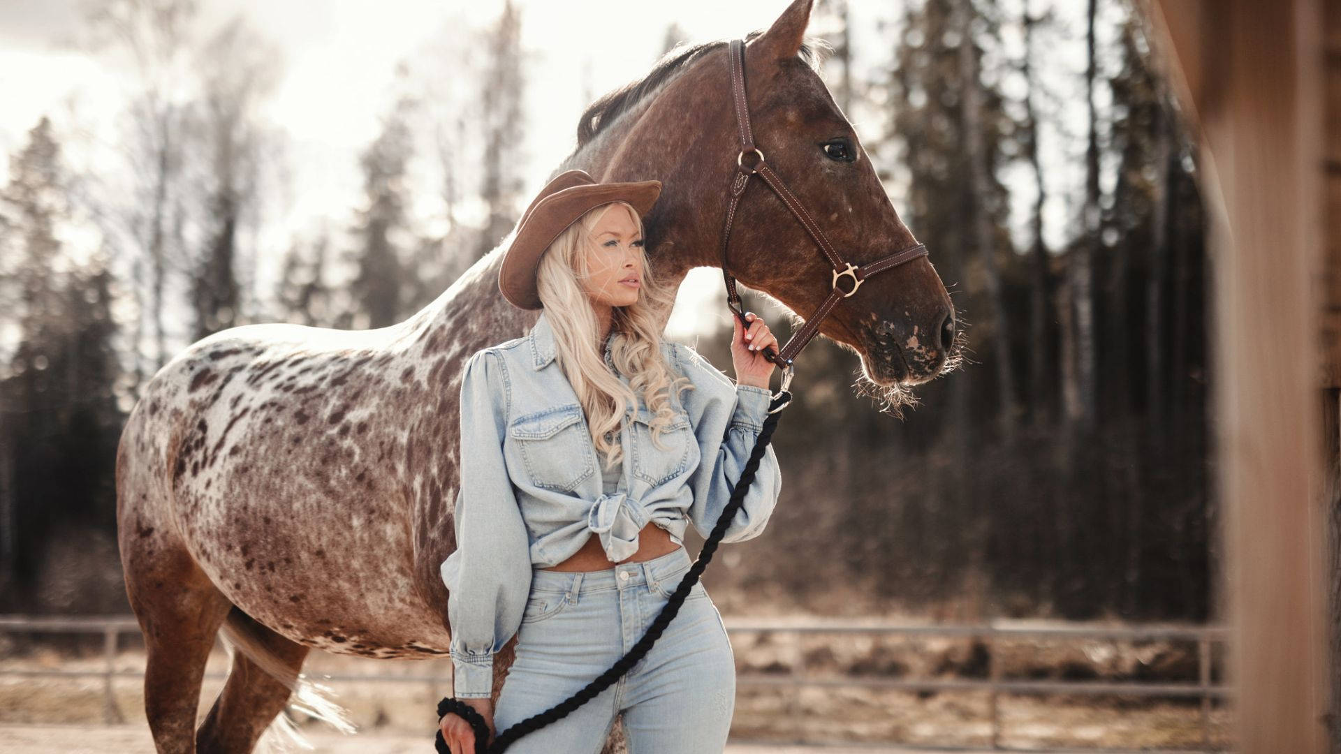 Appaloosa, Frau, Cowboyhut, Wald, Western, Full HD, Desktop-Hintergrund für Windows
