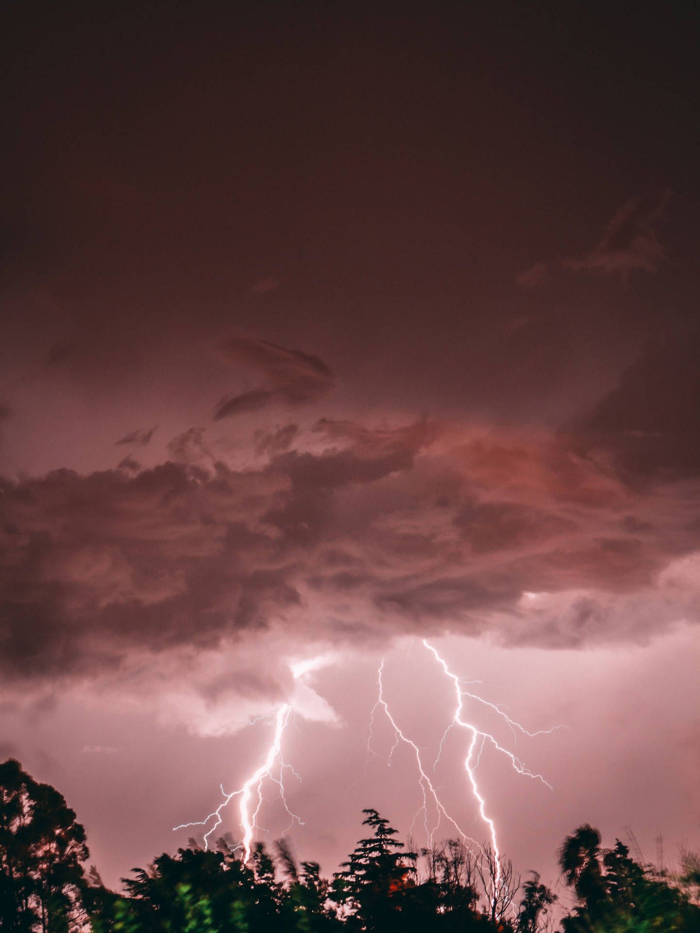 Gewitter, Blitzeinschlag, Gewitterwolken, Nachthimmel, Unwetter, QHD+, iPad-Hintergrundbild