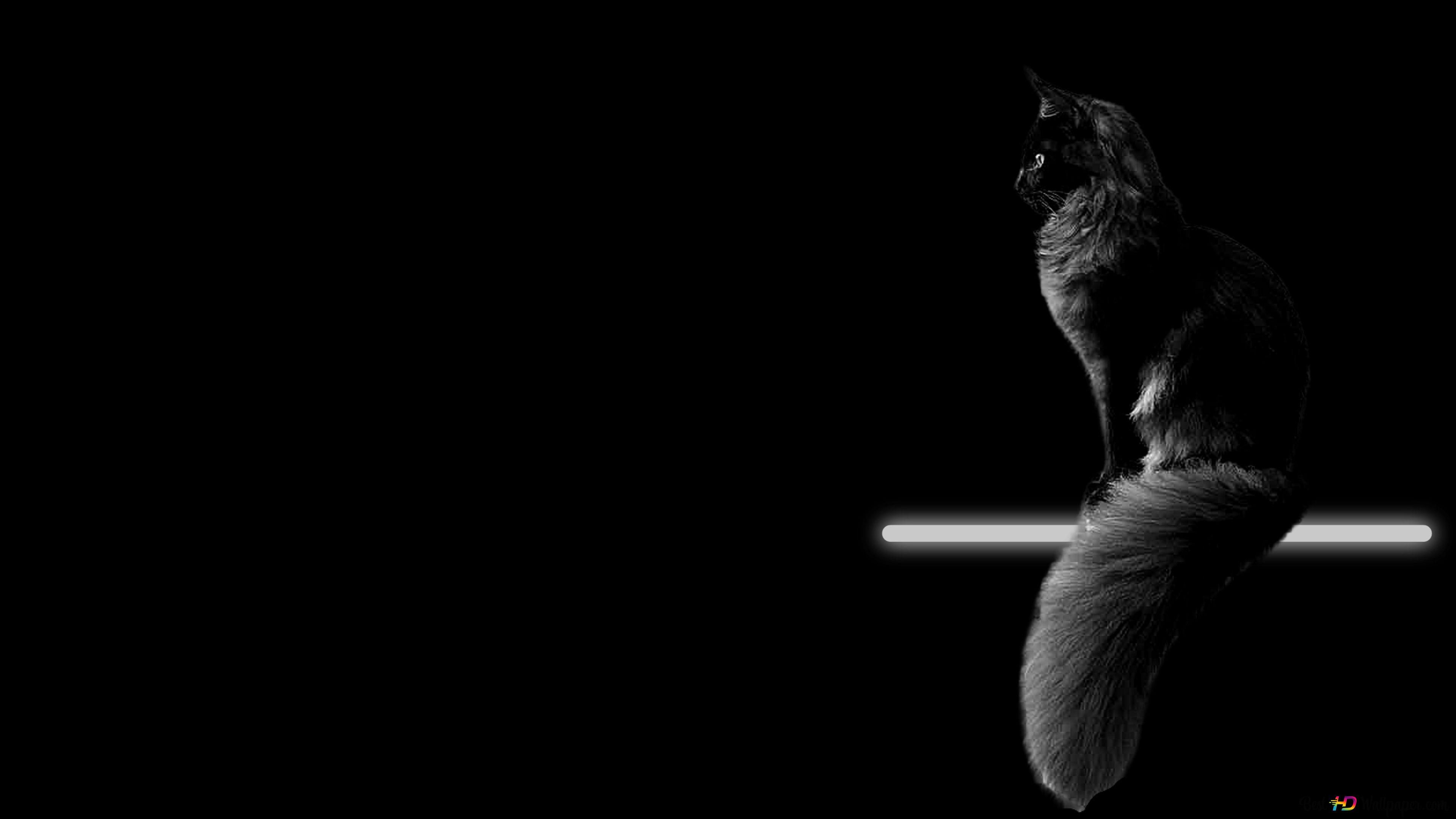 Katze, Silhouette, Neonlicht, Minimalismus, Dunkel, 3840x2160, 4K-Hintergrundbild für PC