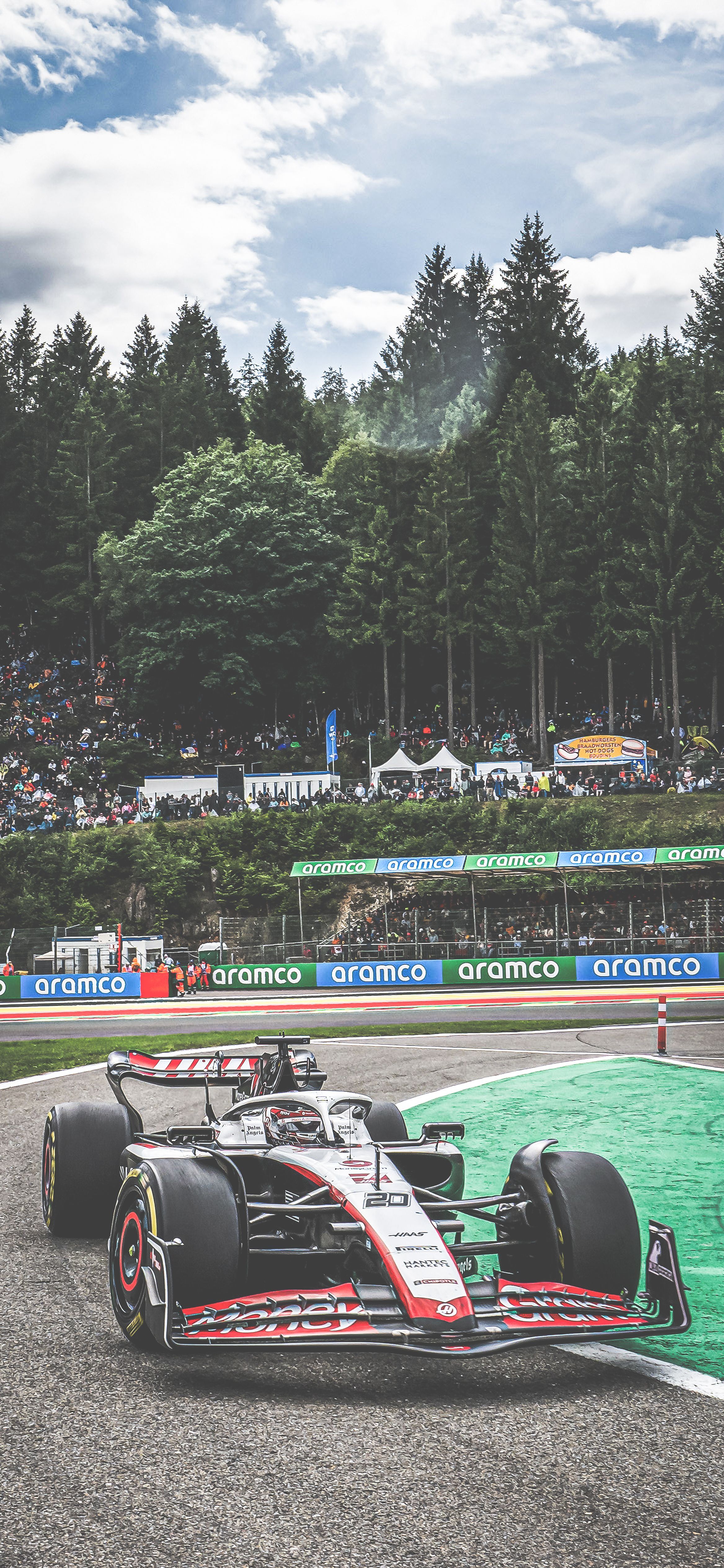 Alfa Romeo Racing, Formel-1-Wagen, Rennstrecke, Wald, Hochformat, QHD+, Handy-Hintergrundbild