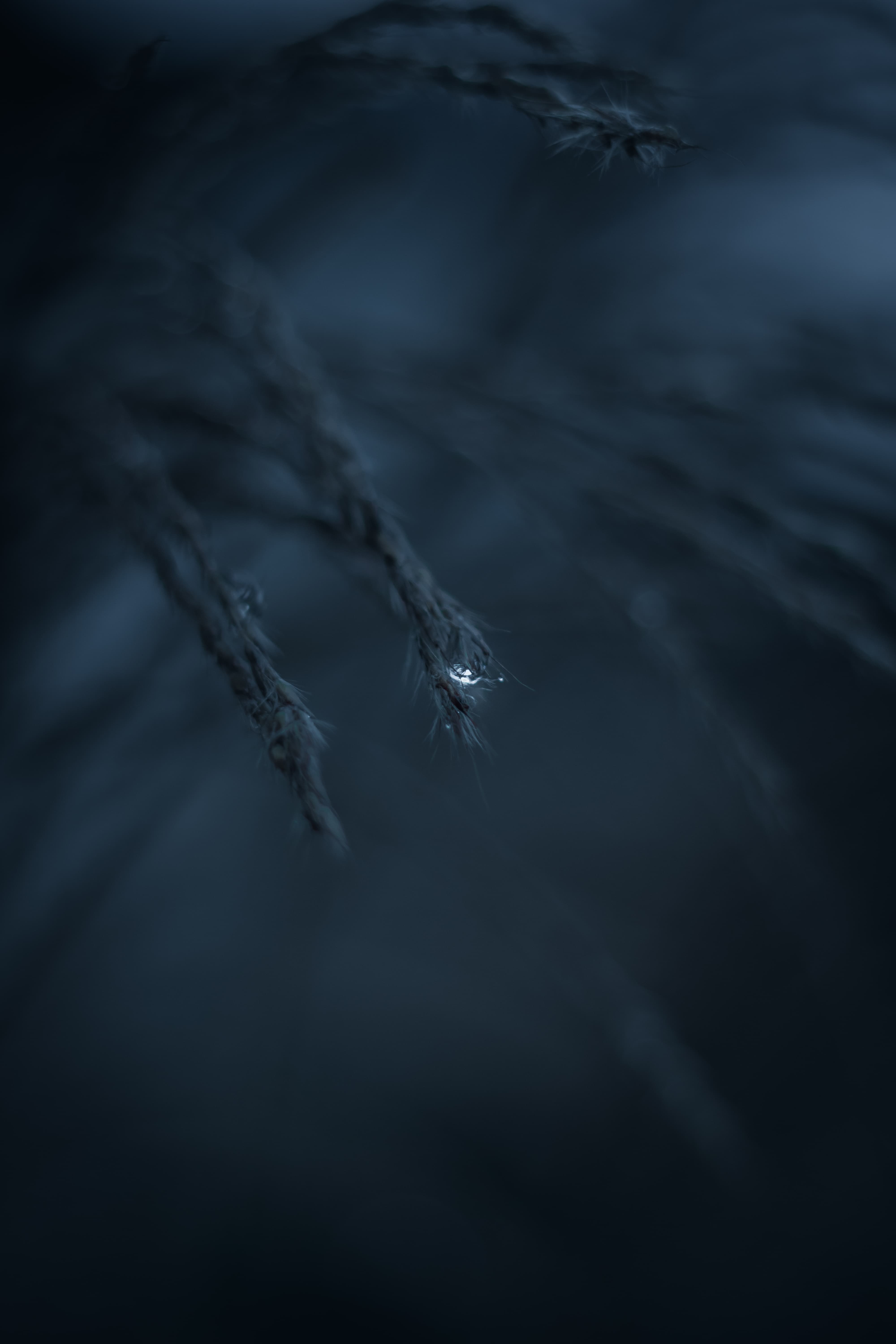 Tropfen, Dunkelblau, Minimalistisch, Glas, Dunkel, QHD+, Hintergrundbild fürs Handy