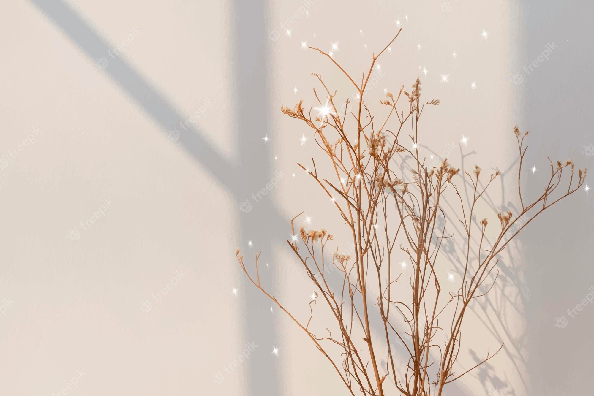 Getrocknete Zweige, Schatten, Beige, Funkeln, Minimalistisch, Full HD, Laptop-Hintergrundbild