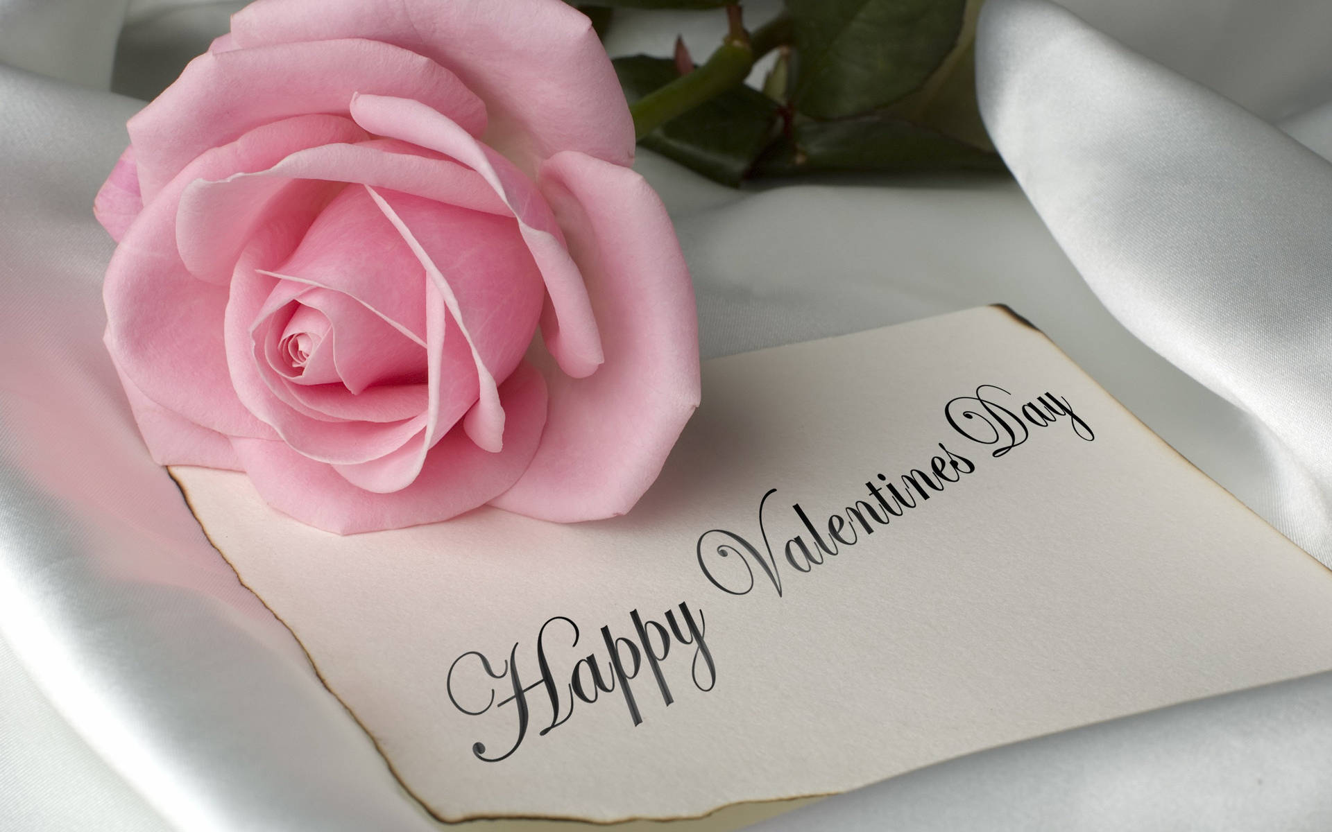 Rosa Rose, Happy Valentine's Day, Grußkarte, Seide, Kalligrafie, Full HD, MacBook-Hintergrundbild