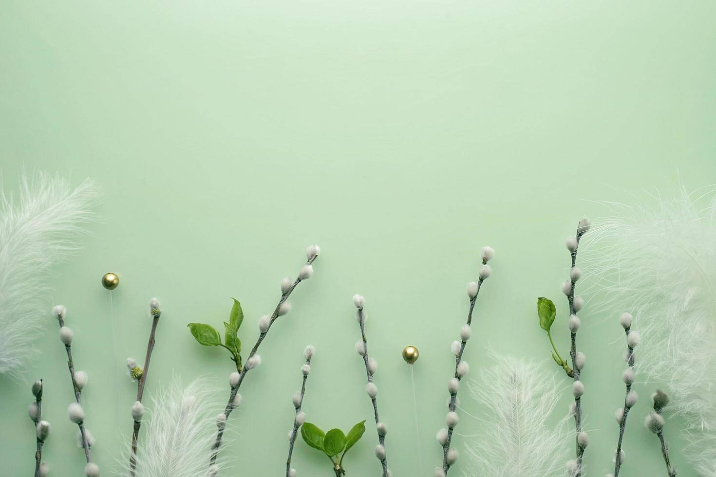 Weidenkätzchen, Federn, Mintgrün, Minimalistisch, Frühling, HD, PC-Hintergrundbild