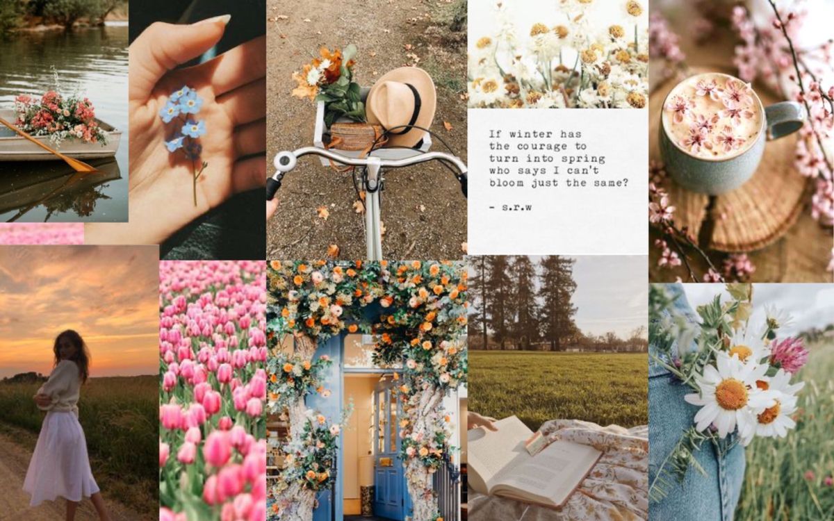 Collage, Frühling, Tulpen, Blumen, Ästhetik, Hintergrundbild