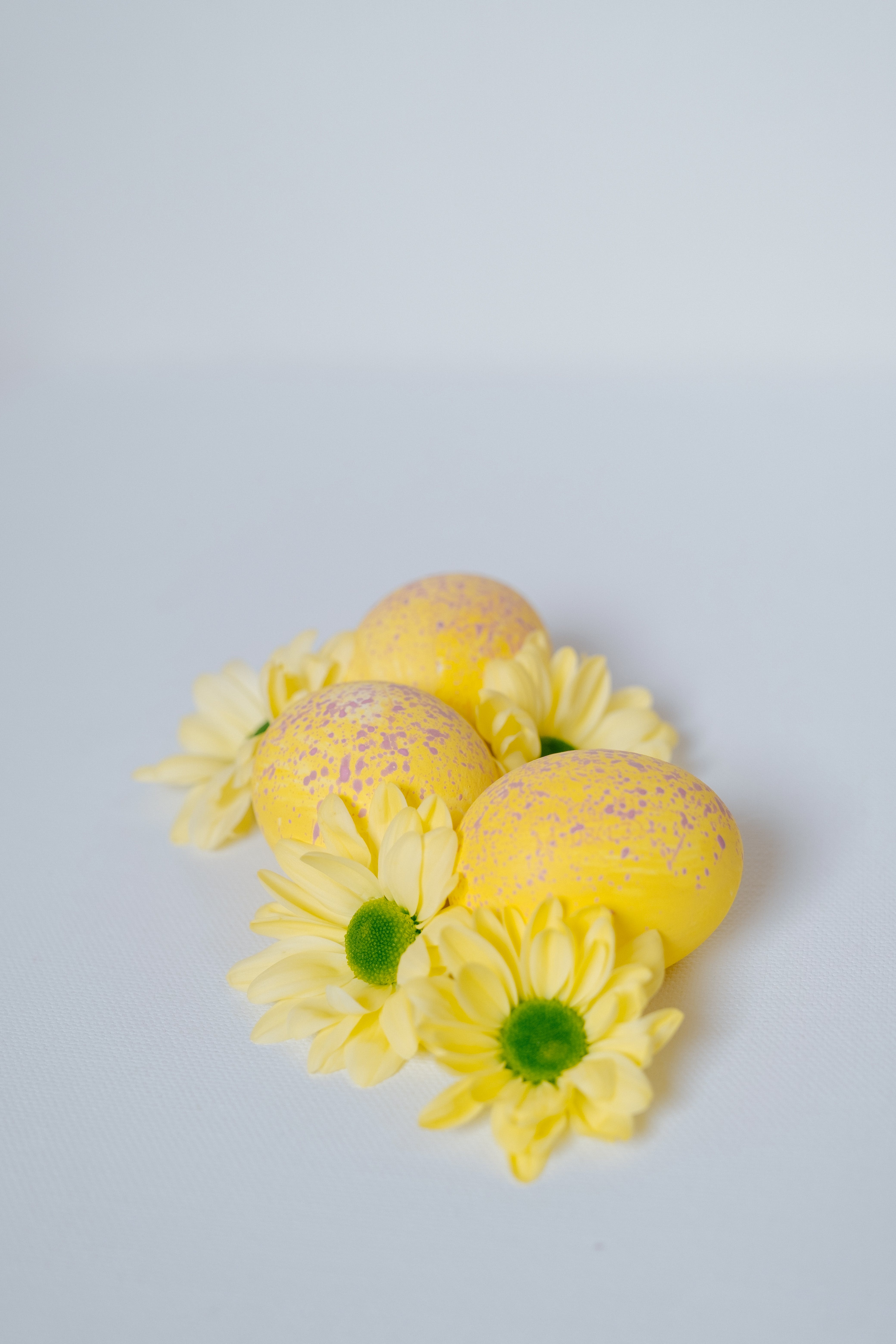 Ostereier, Gelbe Blumen, Grauer Hintergrund, Minimalistisch, Sperrbildschirm fürs iPhone