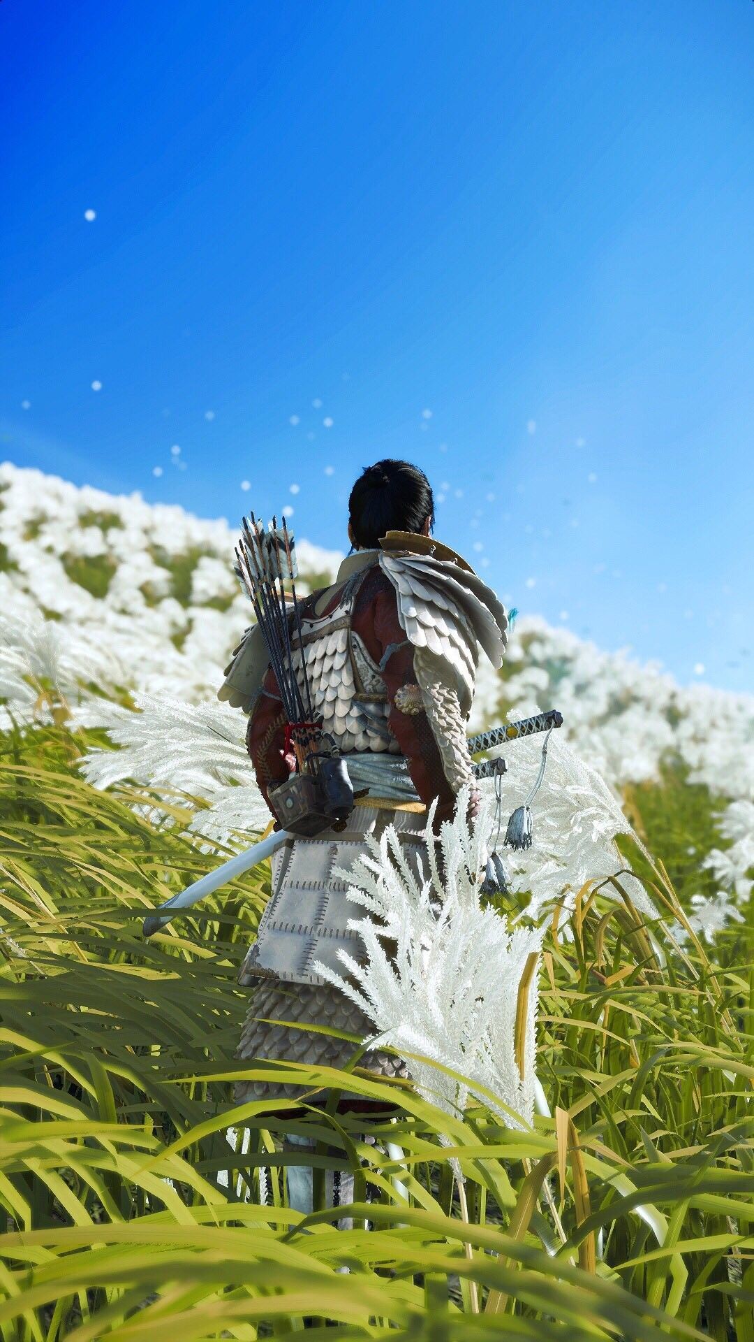 Jin Sakai, Ghost of Tsushima, Samurai, Blauer Himmel, Gras, Full HD, iPhone-Hintergrundbild