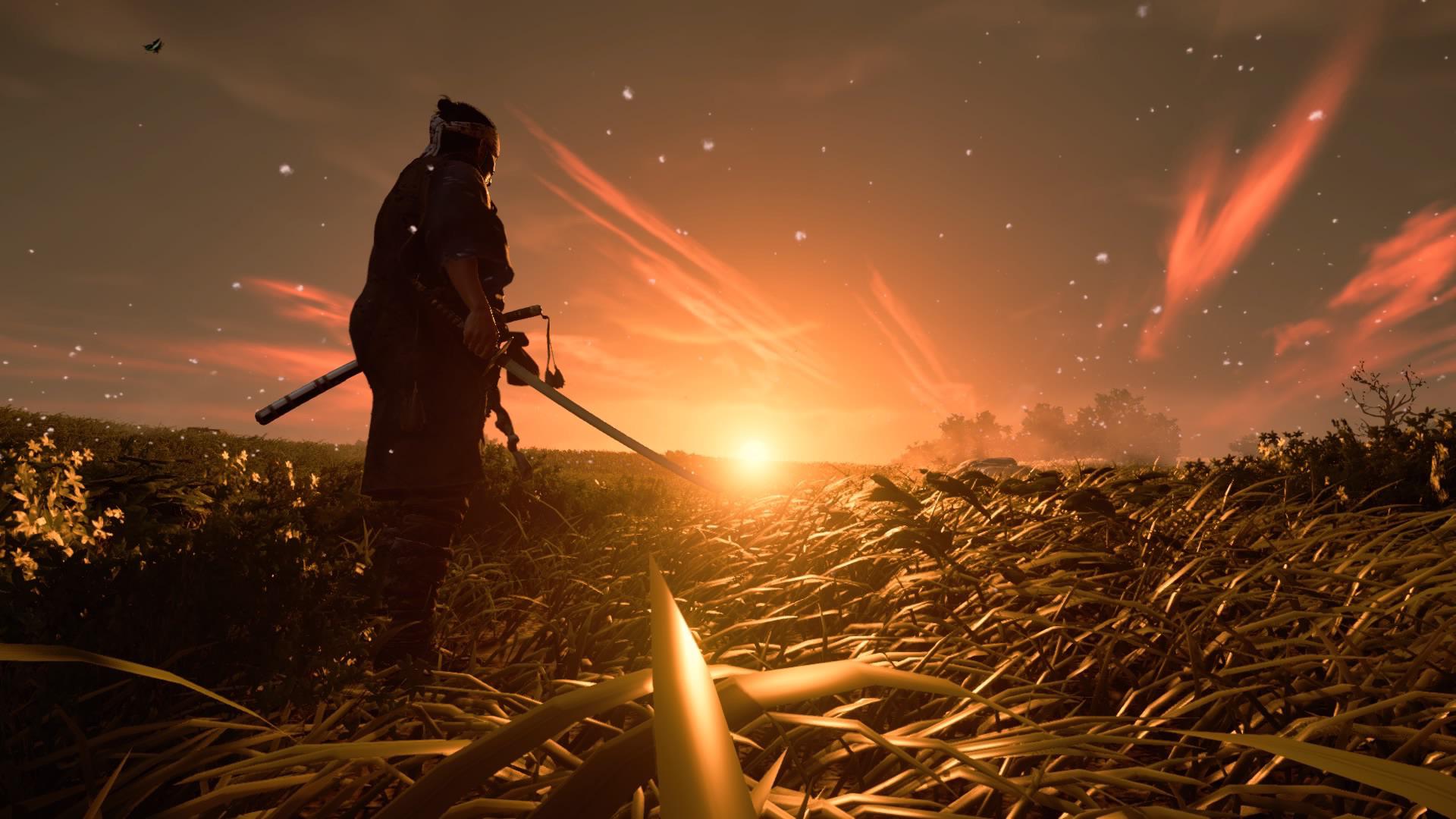 Jin Sakai, Ghost of Tsushima, Sonnenaufgang, Katana, Feld, Full HD, Laptop-Hintergrundbild