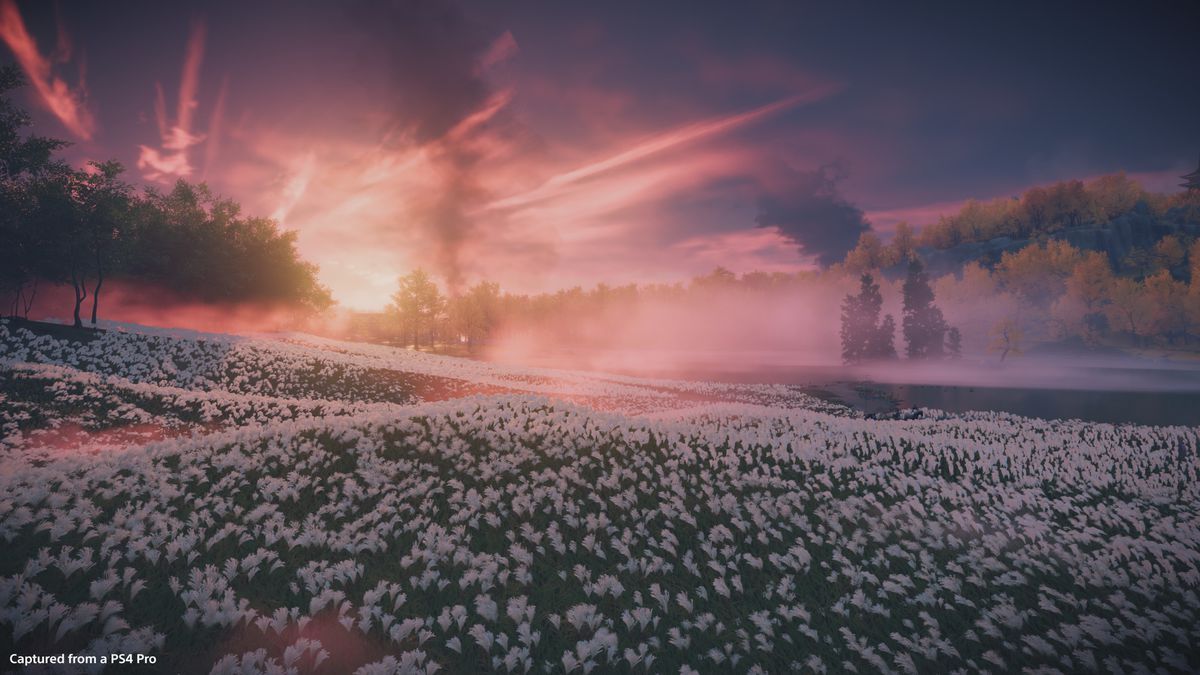 Ghost of Tsushima, Blumenfeld, Sonnenuntergang, Rauchsäule, Landschaft, Hintergrund