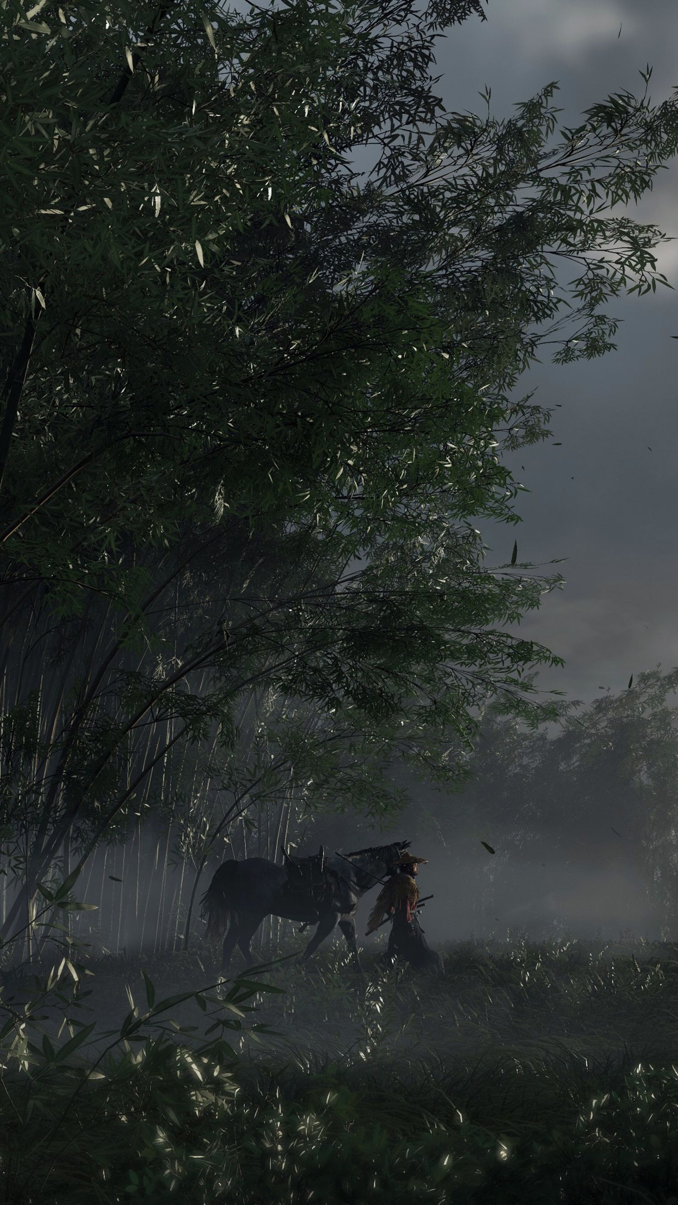 Ghost of Tsushima, Wald, Pferd, Nebel, Grün, QHD+, Sperrbildschirm fürs iPhone