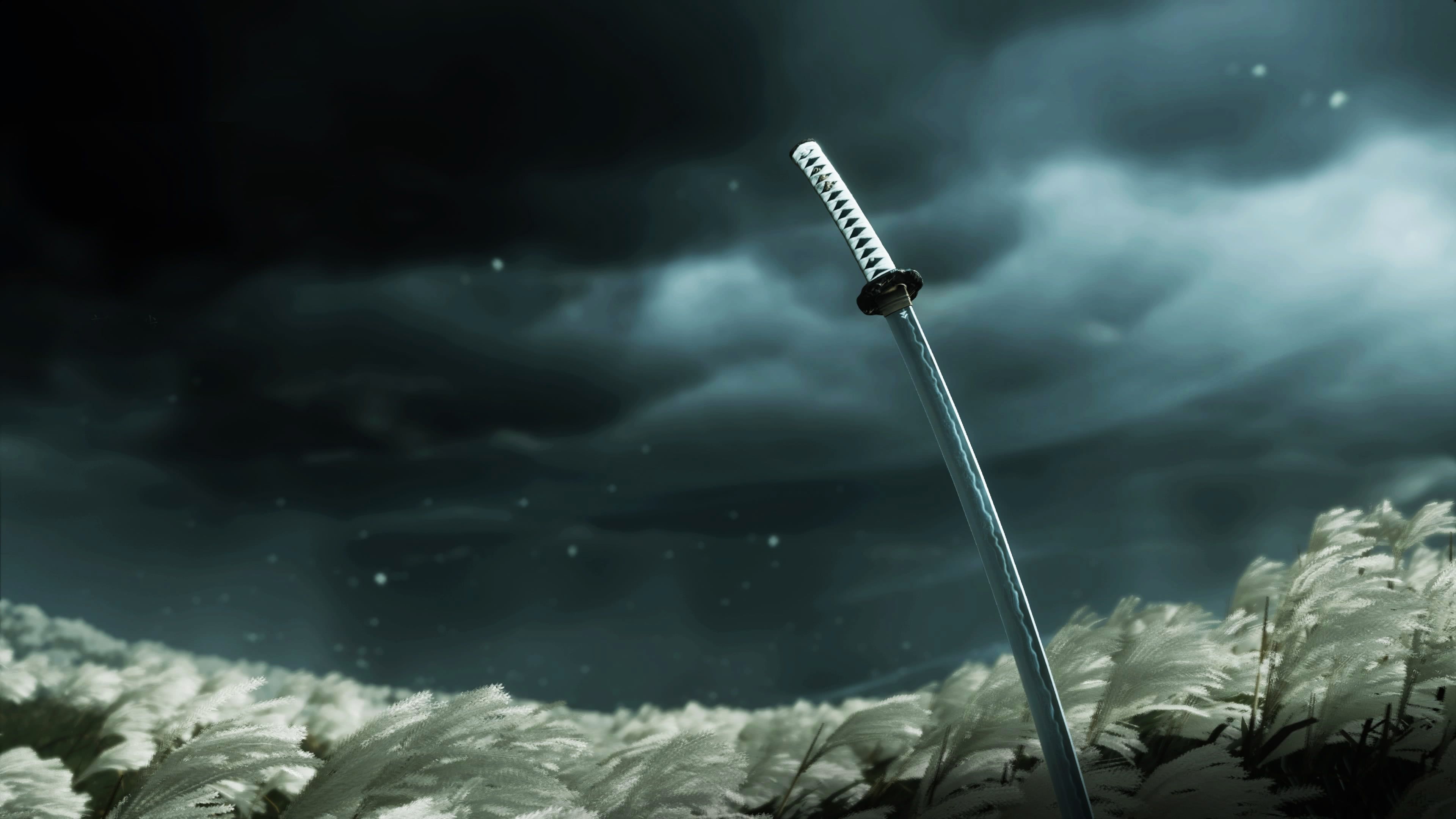 Ghost of Tsushima, Katana, Gewitterwolken, Pampasgras, Dunkel, 4K, Desktop-Hintergrund