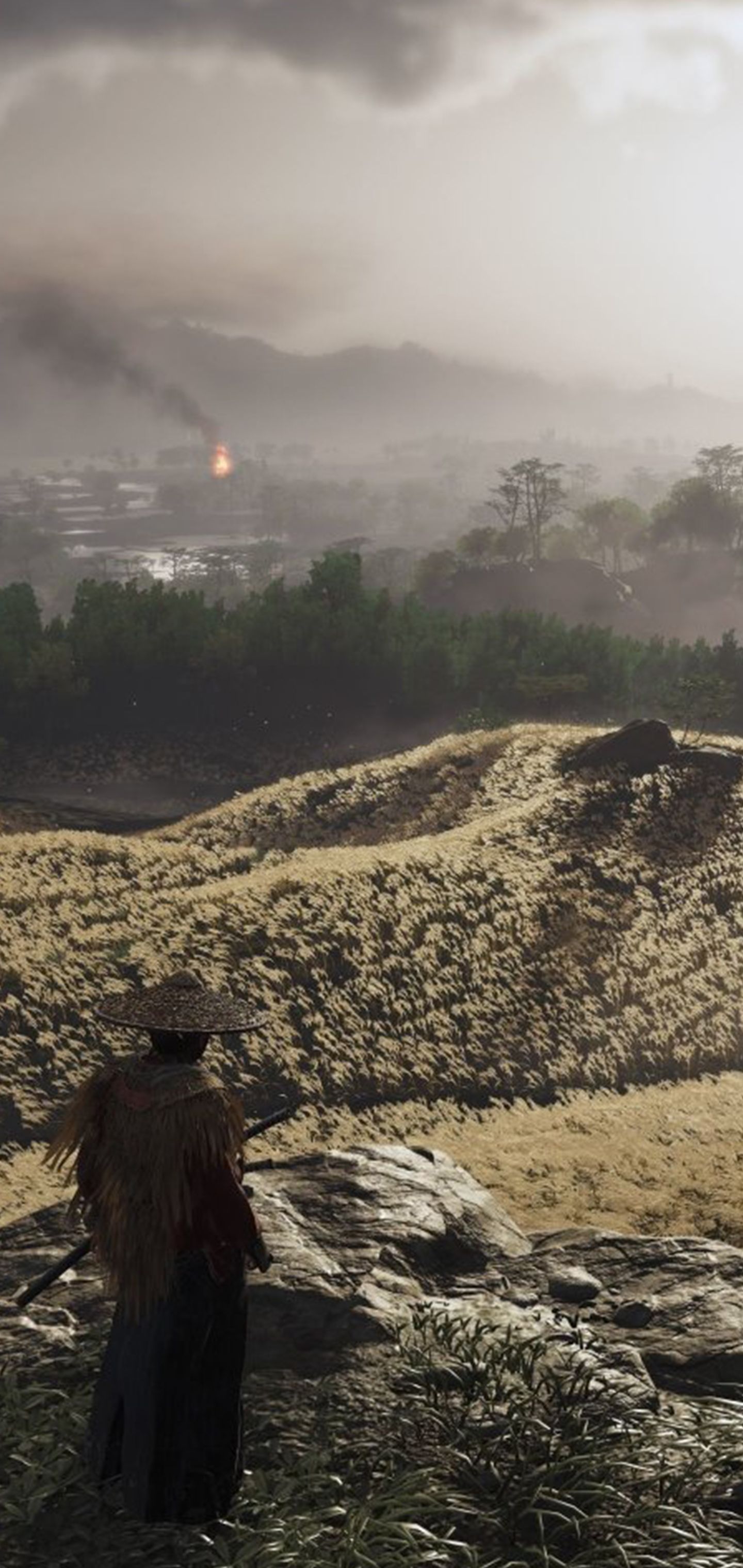 Ghost of Tsushima, Samurai, Hügel, Nebel, Landschaft, QHD+, Sperrbildschirm fürs iPhone