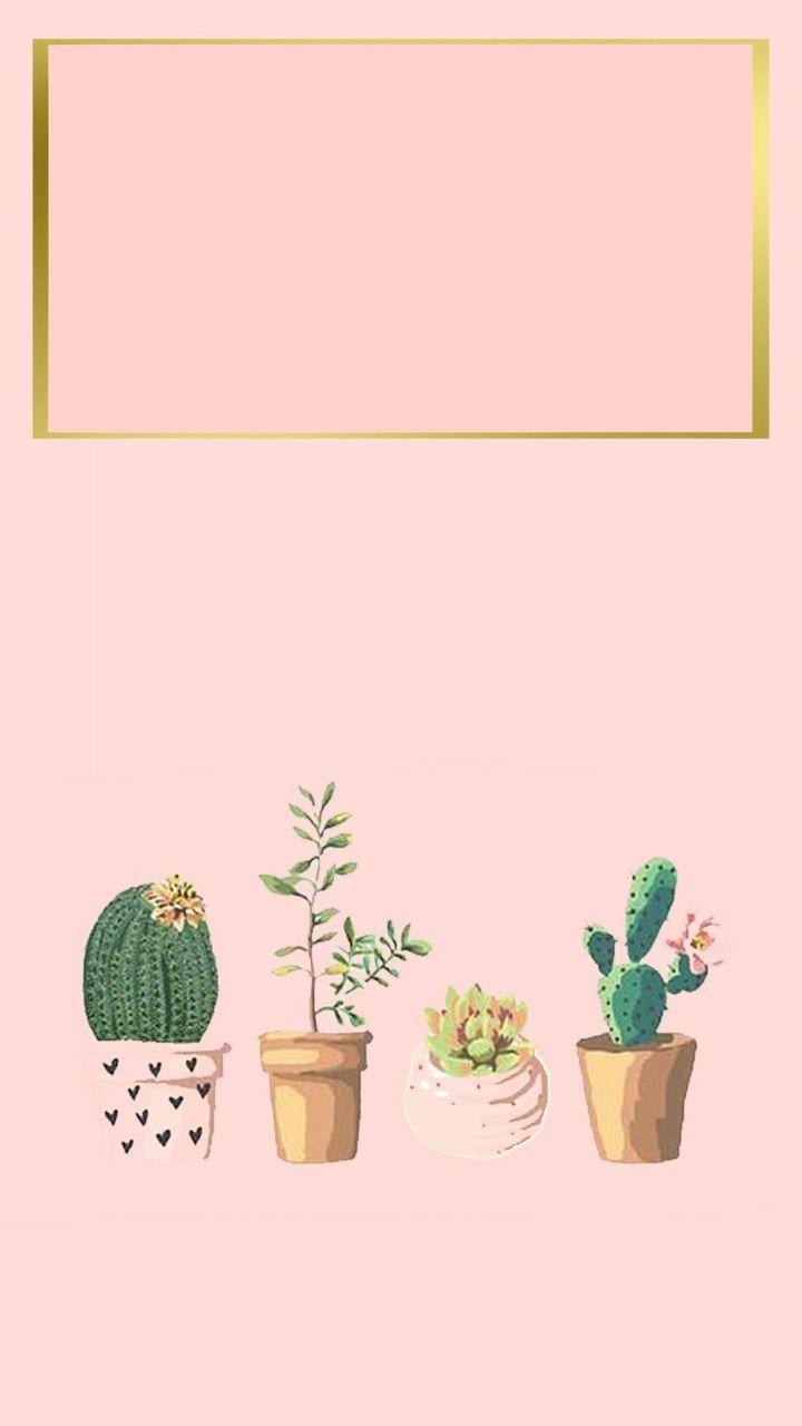 Kakteen, Topfpflanzen, Illustration, Rosa Hintergrund, Goldrahmen, Sperrbildschirm fürs iPhone