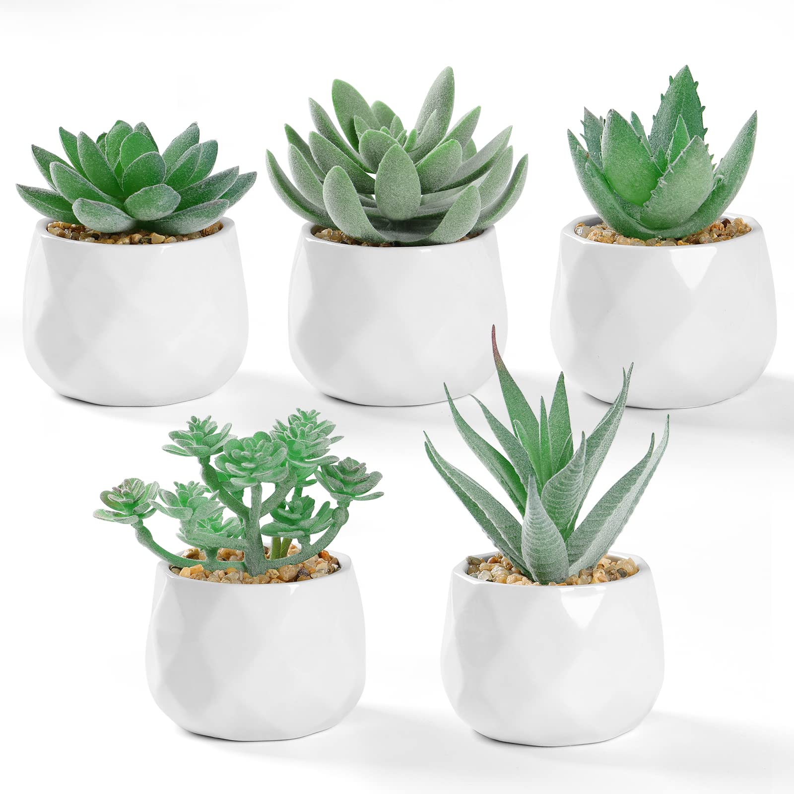 Topfpflanzen, Weiße Töpfe, Weißer Hintergrund, Aloe, HD Wallpaper