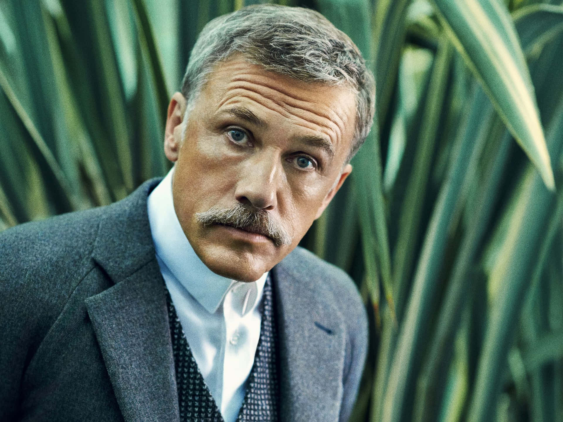 Christoph Waltz, Schnurrbart, Anzug, Filmszene, Grüne Blätter, Hintergrundbild fürs Tablet