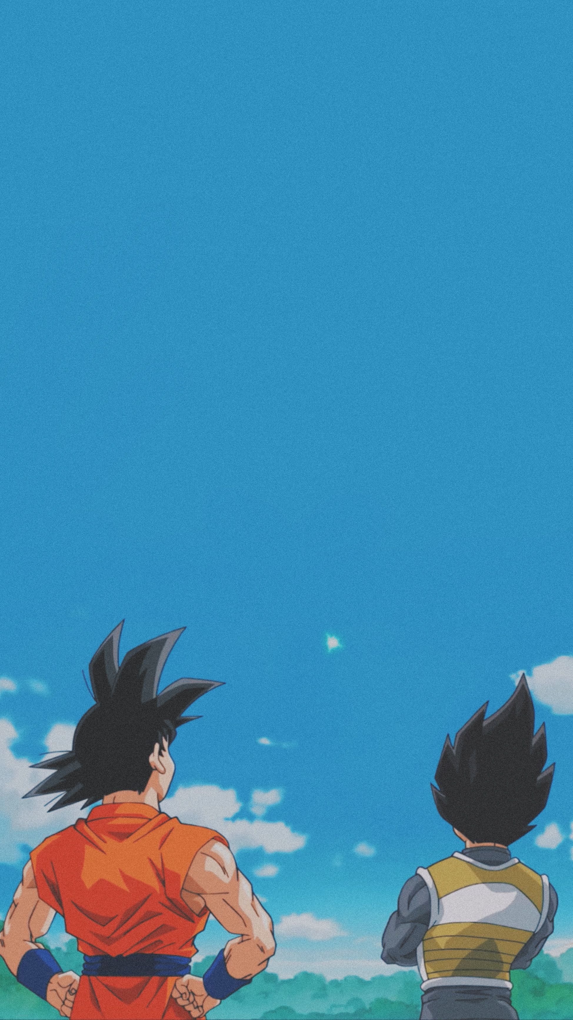Son Goku, Vegeta, Dragon Ball, Blauer Himmel, Rückansicht, QHD+, Handy-Hintergrundbild