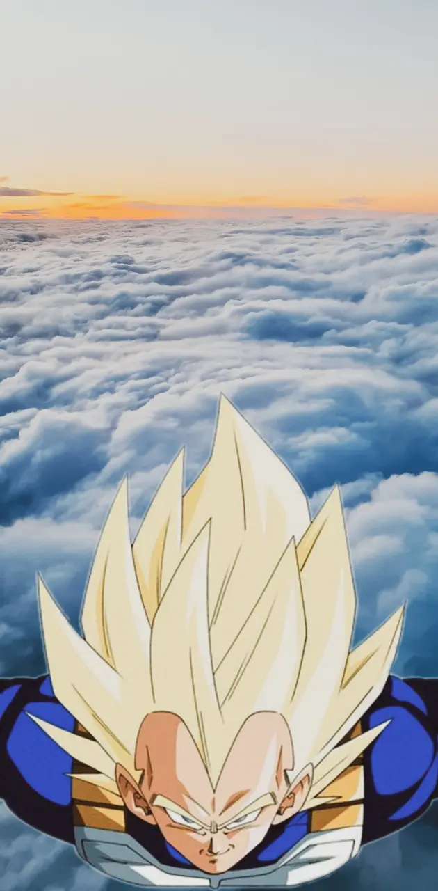 Vegeta, Super-Saiyajin, Wolkenmeer, Sonnenuntergang, Rückansicht, Android-Hintergrundbild