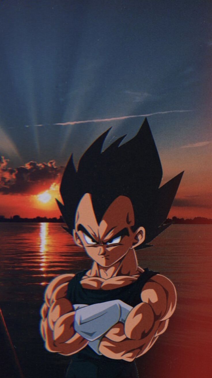 Vegeta, Dragon Ball Z, Sonnenuntergang, Verschränkte Arme, Meer, HD, Handy-Hintergrundbild