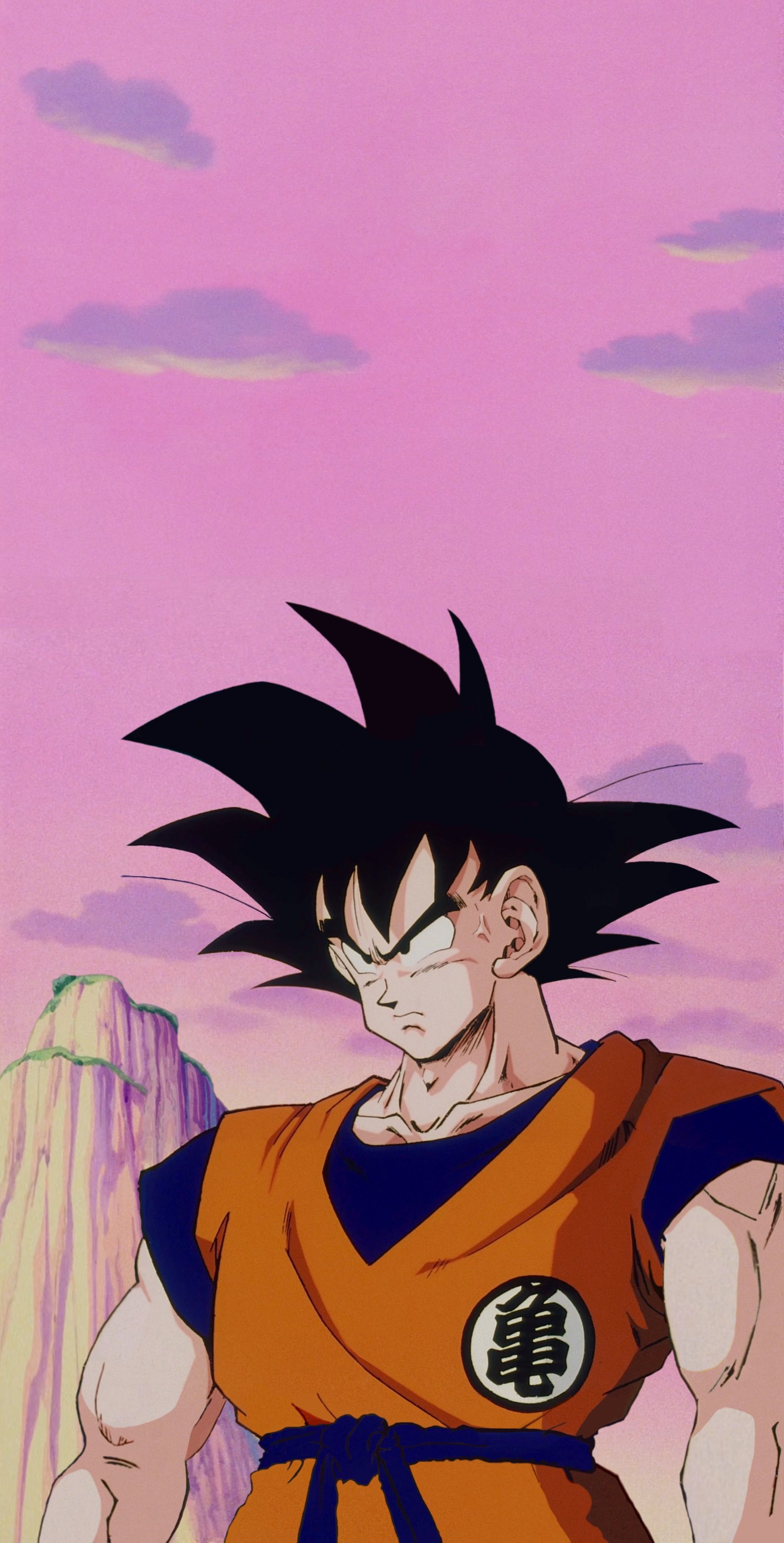 Son Goku, Dragon Ball Z, Rosa Himmel, Kampfanzug, Retro-Anime, QHD+, Handy-Hintergrundbild