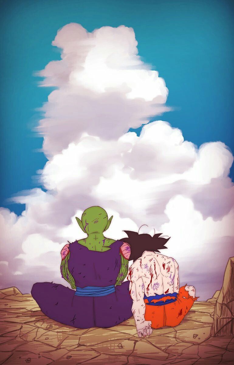 Piccolo, Son Goku, Dragon Ball, Wolken, Rückenansicht, Freundschaft, HD, Handy-Hintergrundbild