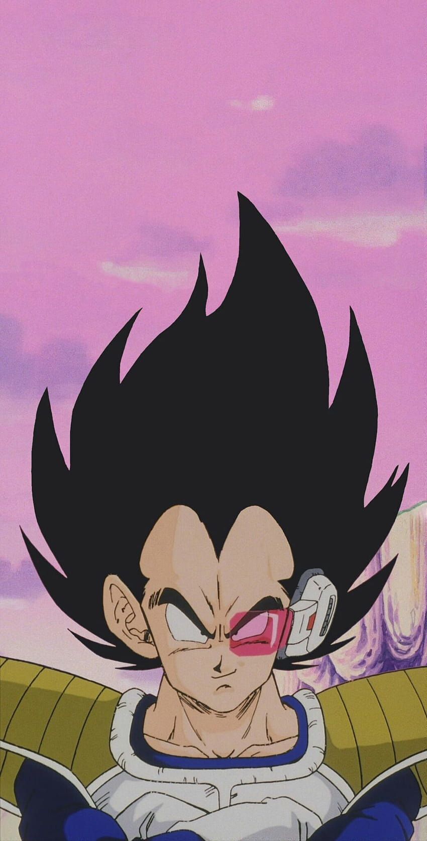 Vegeta, Dragon Ball Z, Porträt, Rosa Himmel, Wütender Blick, Hintergrundbild fürs Handy