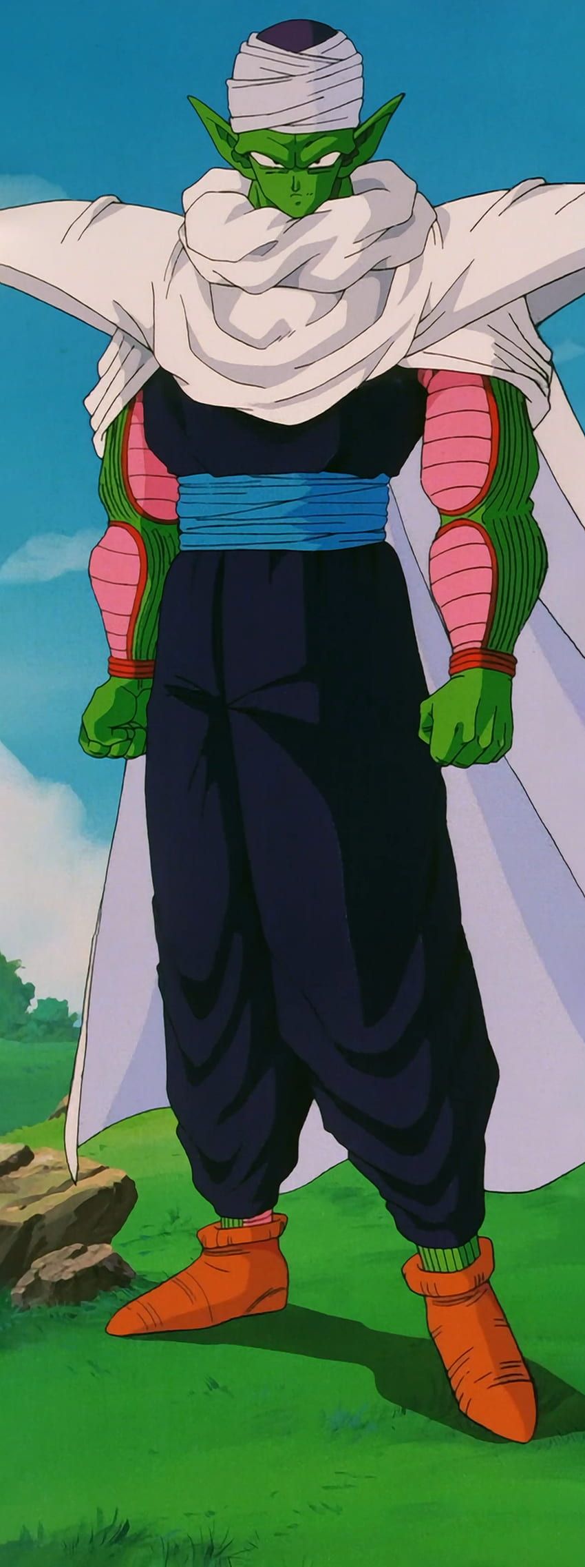 Piccolo, Dragon Ball Z, Umhang, Wiese, Ganzkörper, Hintergrundbild für iPhone und Android