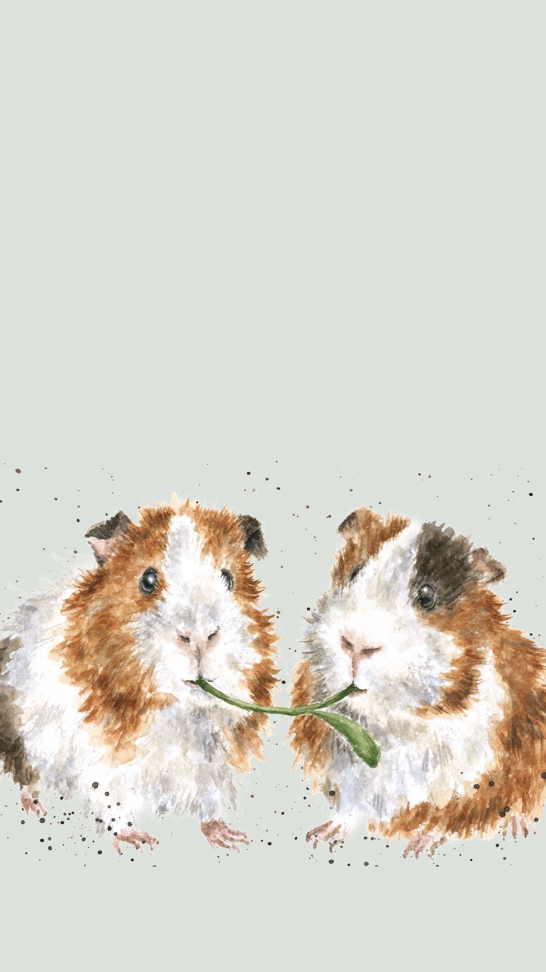 Meerschweinchen, Aquarell, Zwei Tiere, Illustration, Minimalistisch, Full HD, Handy-Hintergrundbild