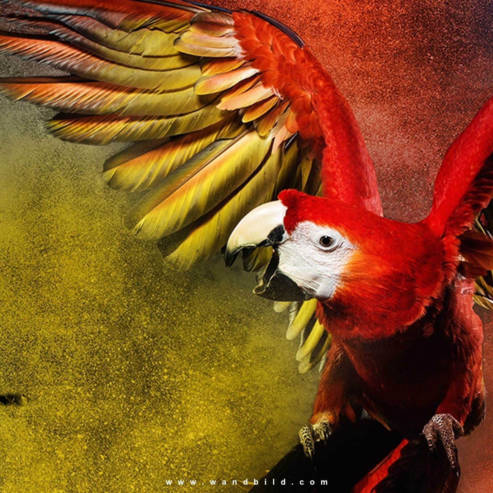 Hellroter Ara, Ausgebreitete Flügel, Roter Papagei, Digitale Kunst, Gelber Hintergrund, HD Wallpaper