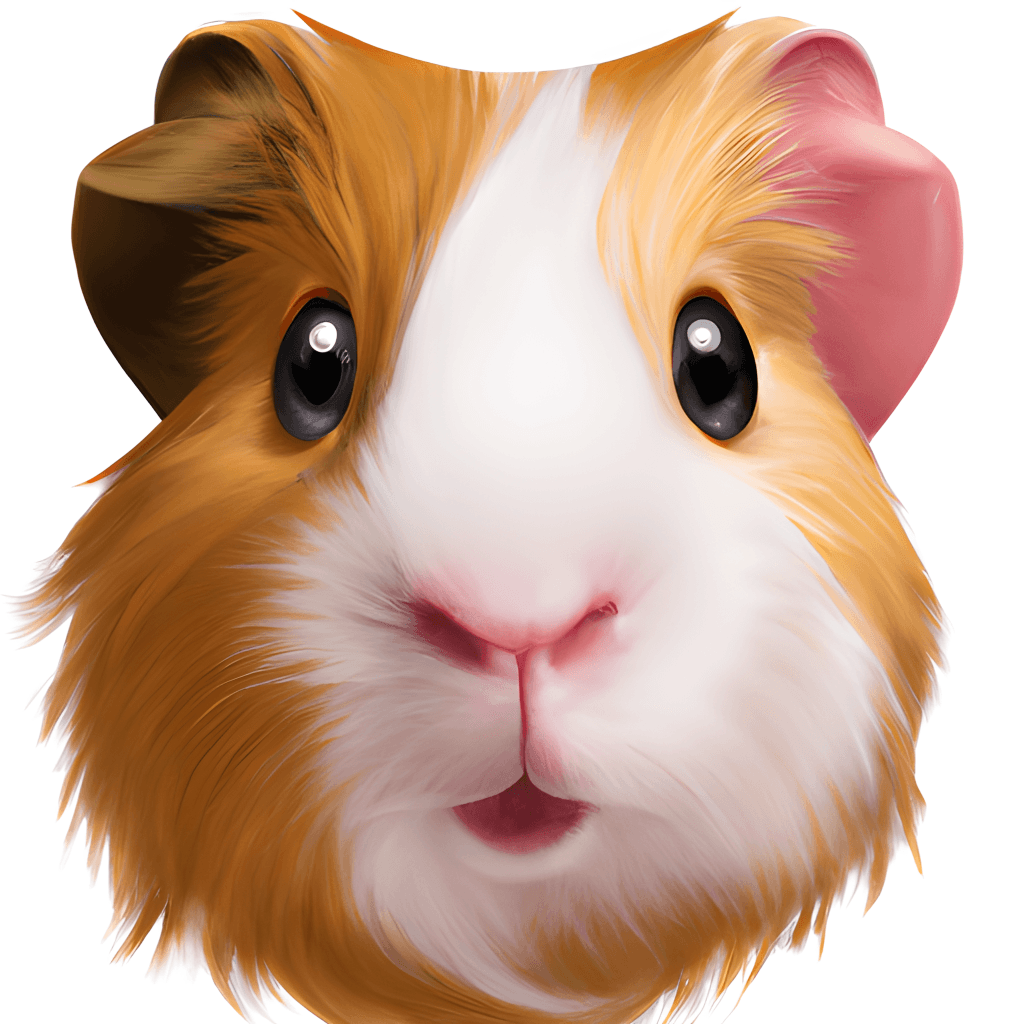 Meerschweinchen, Illustration, Großes Gesicht, Weißer Hintergrund, Wallpaper