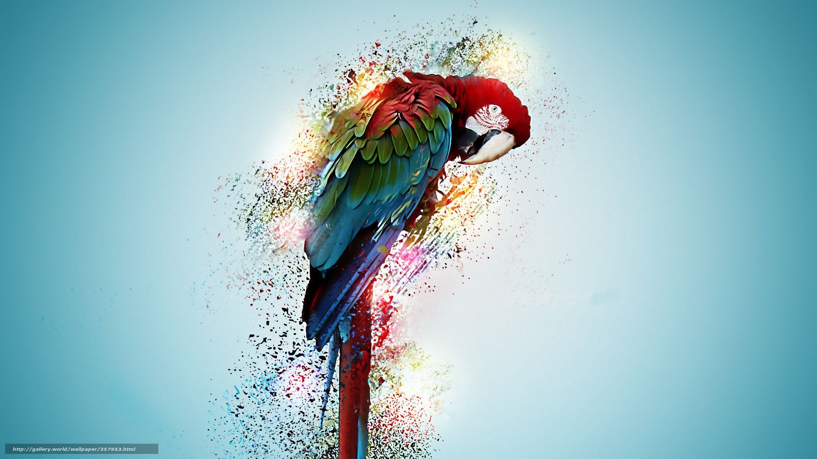 Ara, Farbspritzer, Dispersion-Effekt, Digitale Kunst, Hellblauer Hintergrund, HD Wallpaper