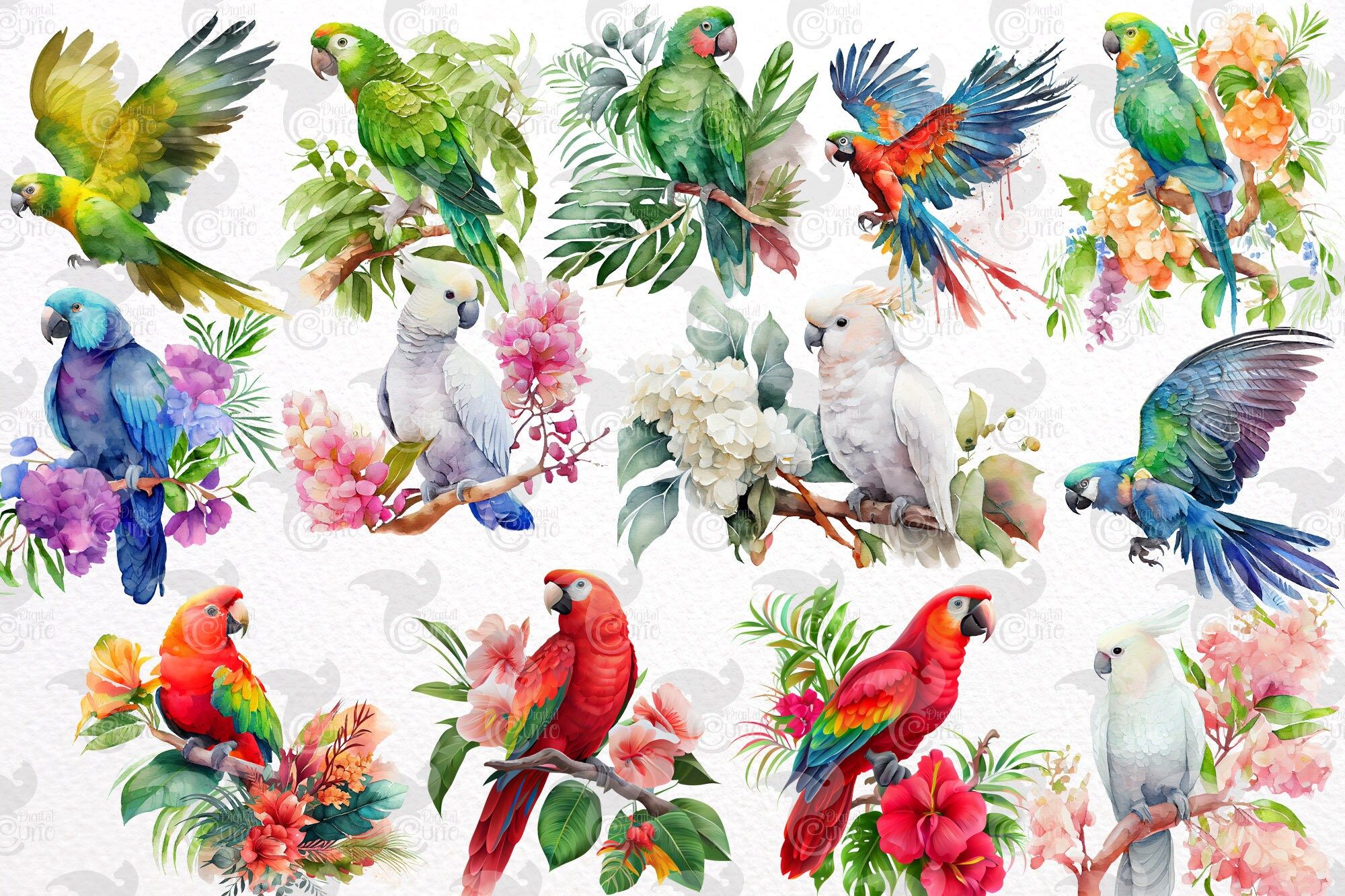 Papageien, Aquarell, Muster, Kakadu, Tropische Blumen, Weißer Hintergrund, Full HD Wallpaper